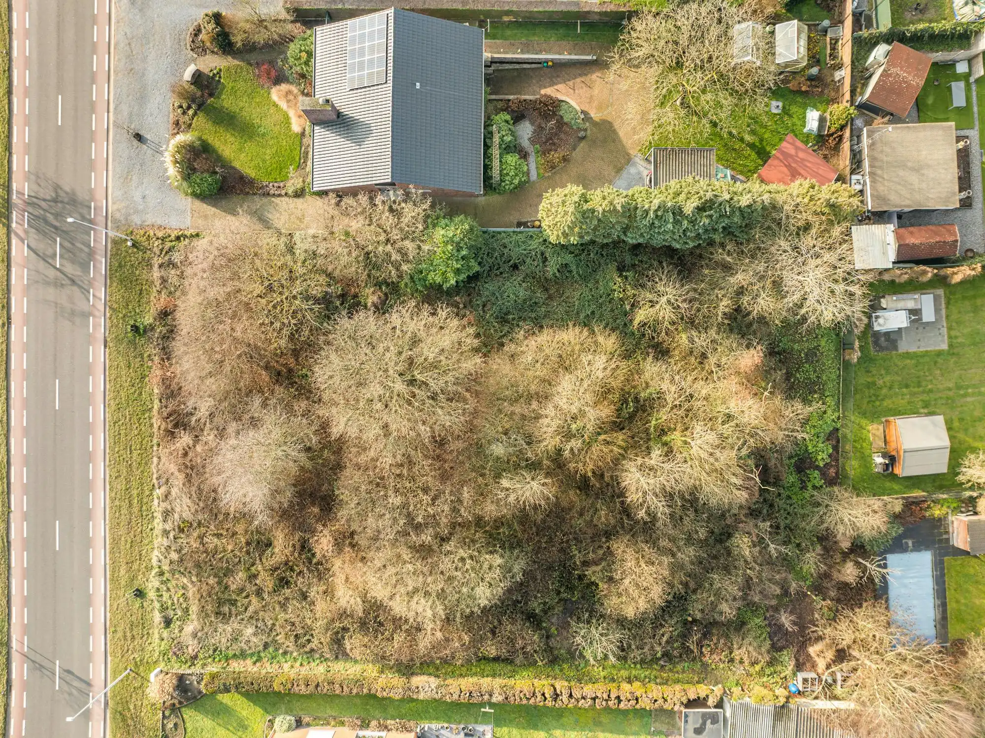 Ruime bouwgrond voor open bebouwing op toplocatie nabij Beringen foto 6