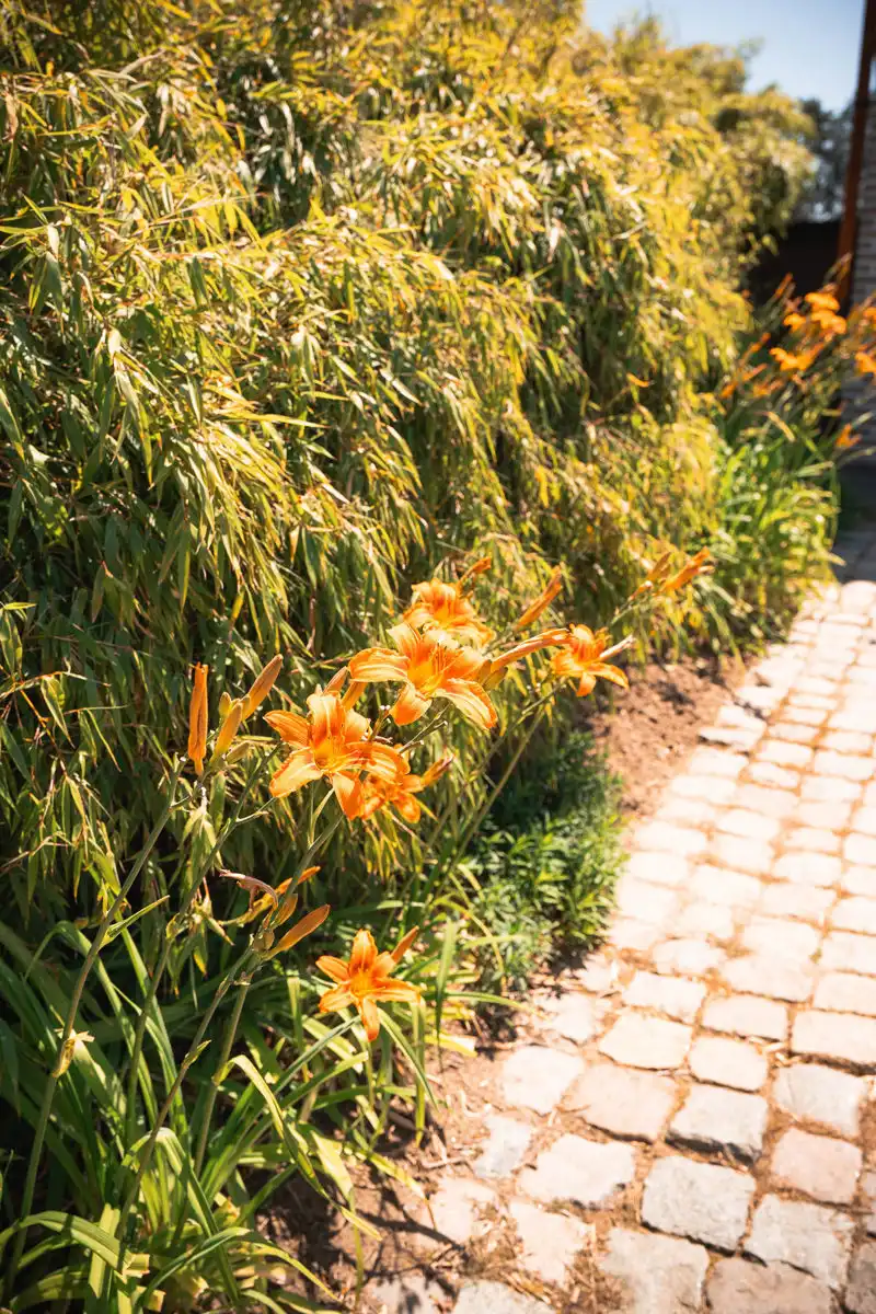 Ruime, uitstekend onderhouden gezinswoning met mooie tuin foto 29