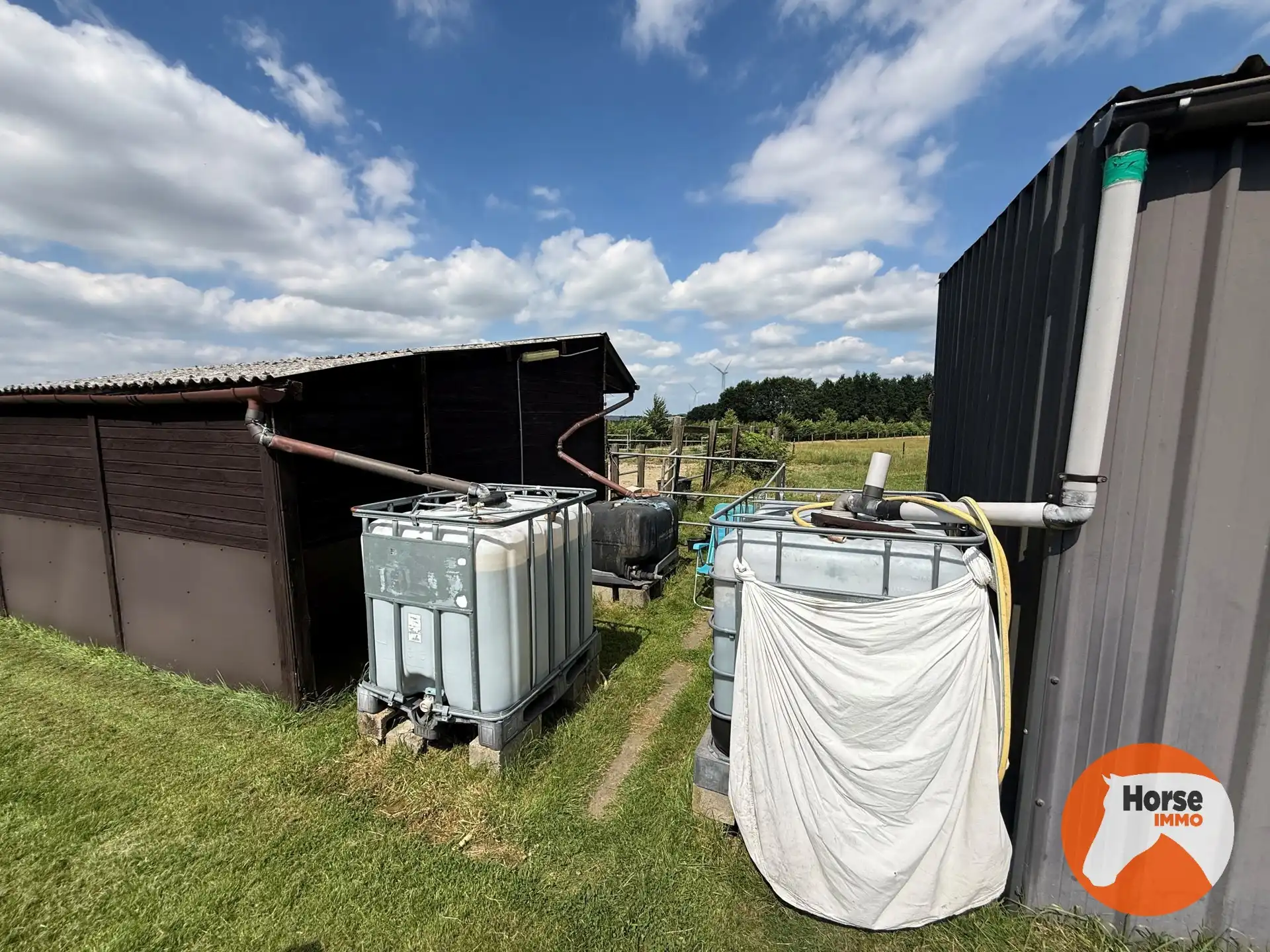 ASSE - Paardenaccommodatie op 1,07ha met 3 vergunde stallen foto 13