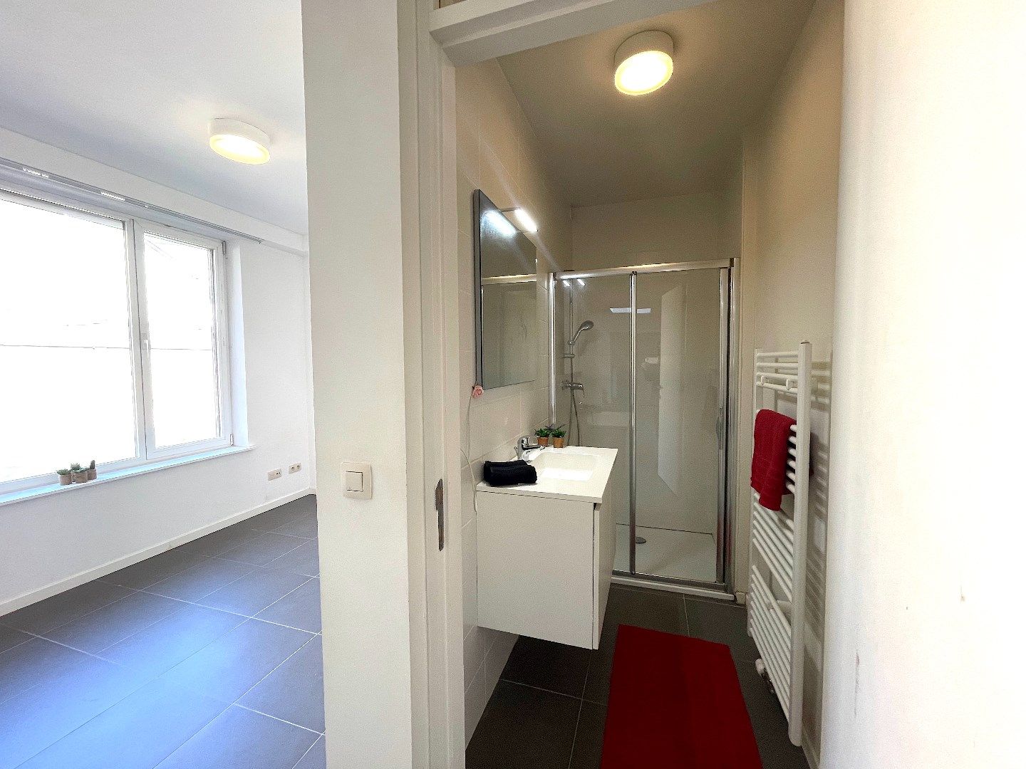 Mooi, gerenoveerd appartement met 1 slaapkamer en terras. foto 9
