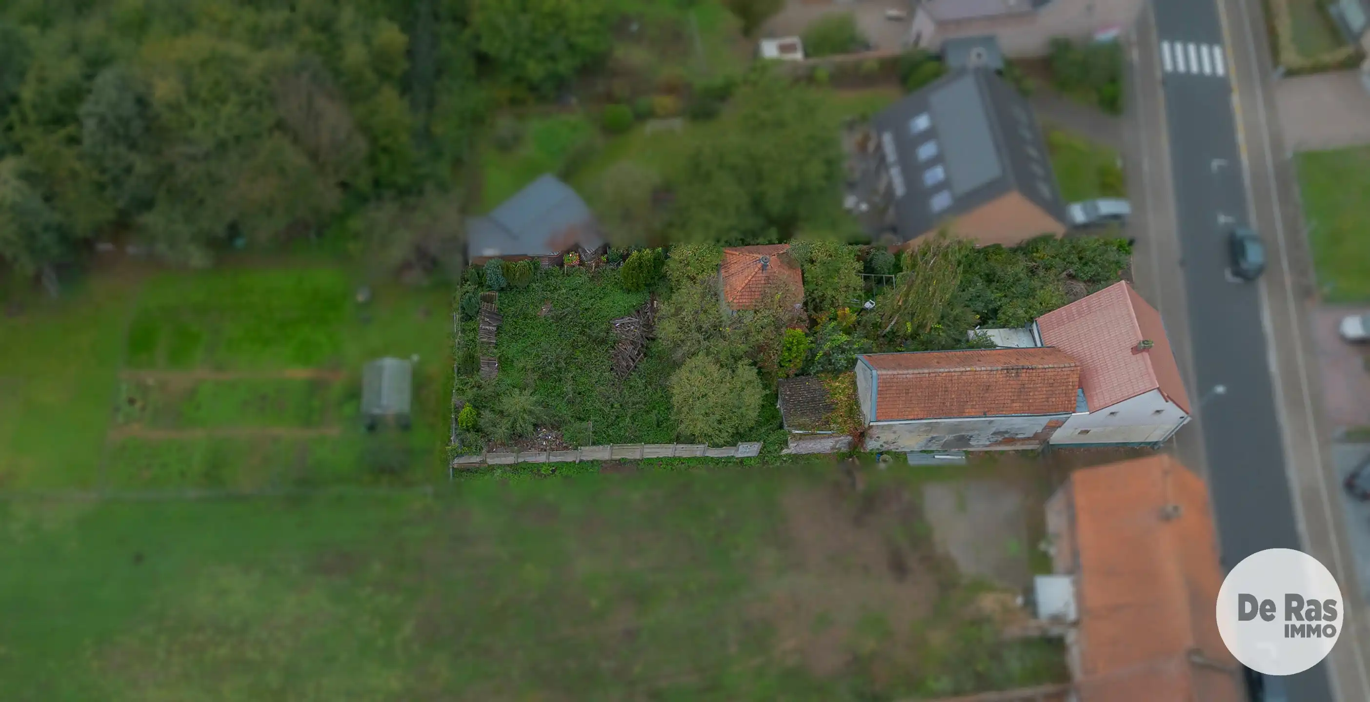 NINOVE - Te renoveren woning/afbraak met veel potentieel foto 9