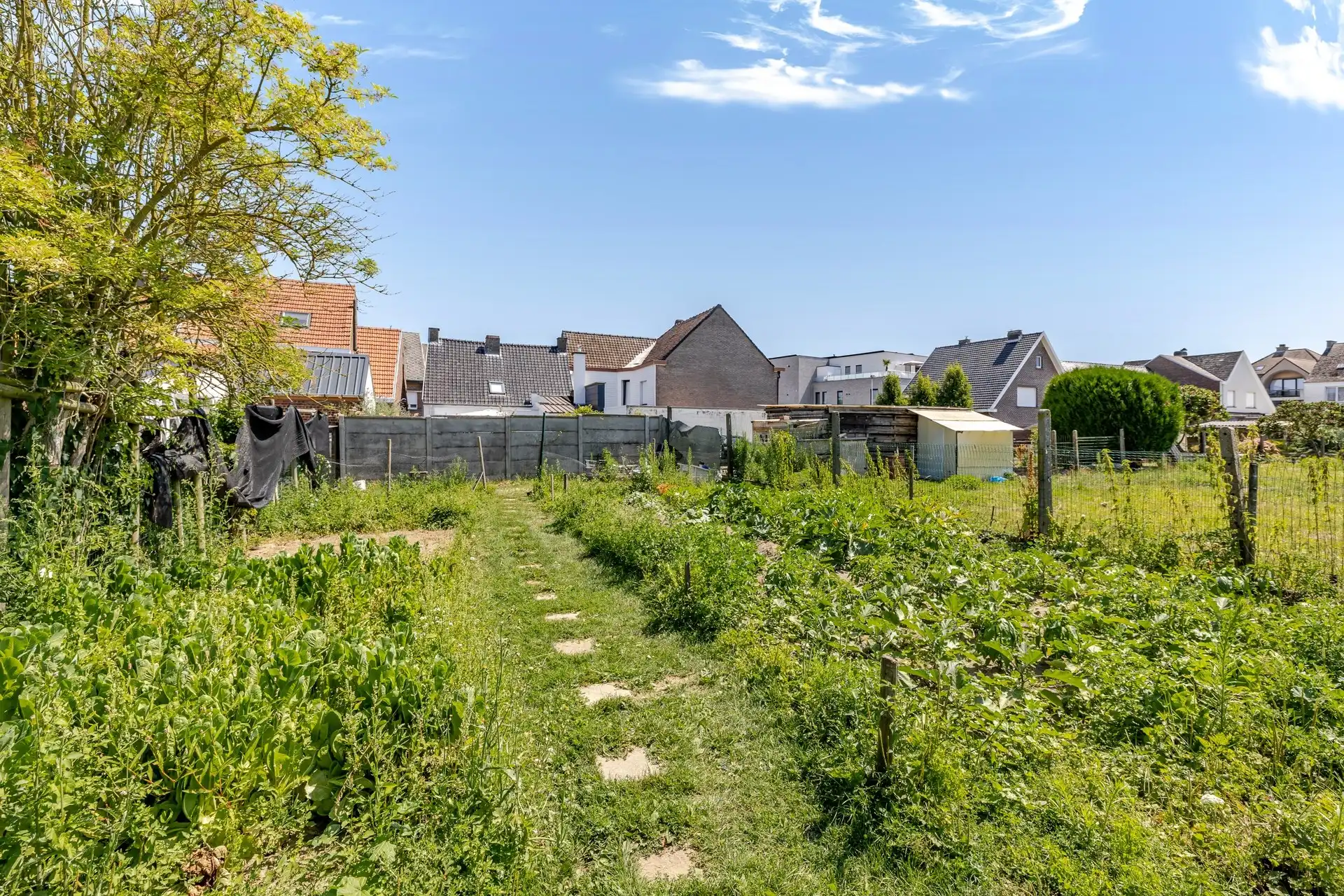 Ruime gezinswoning met grote tuin in Burst foto 20