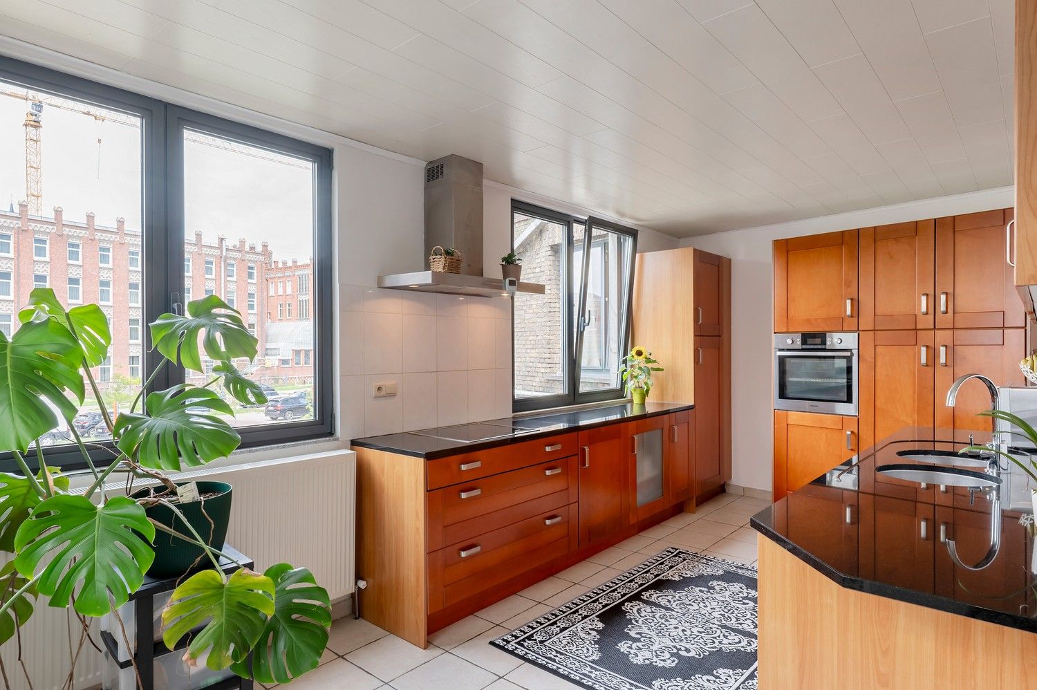 INSTAPKLAAR DUPLEX-APP I 2/3 SLAAPKAMERS I EPC=C foto 8