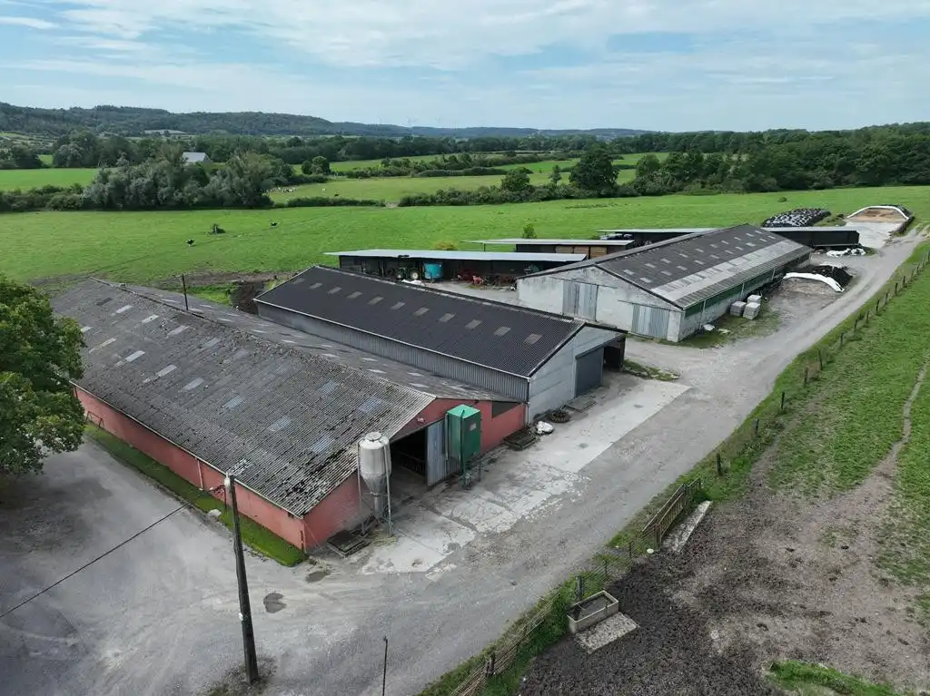 Landbouwbedrijf te Wallonië foto 3