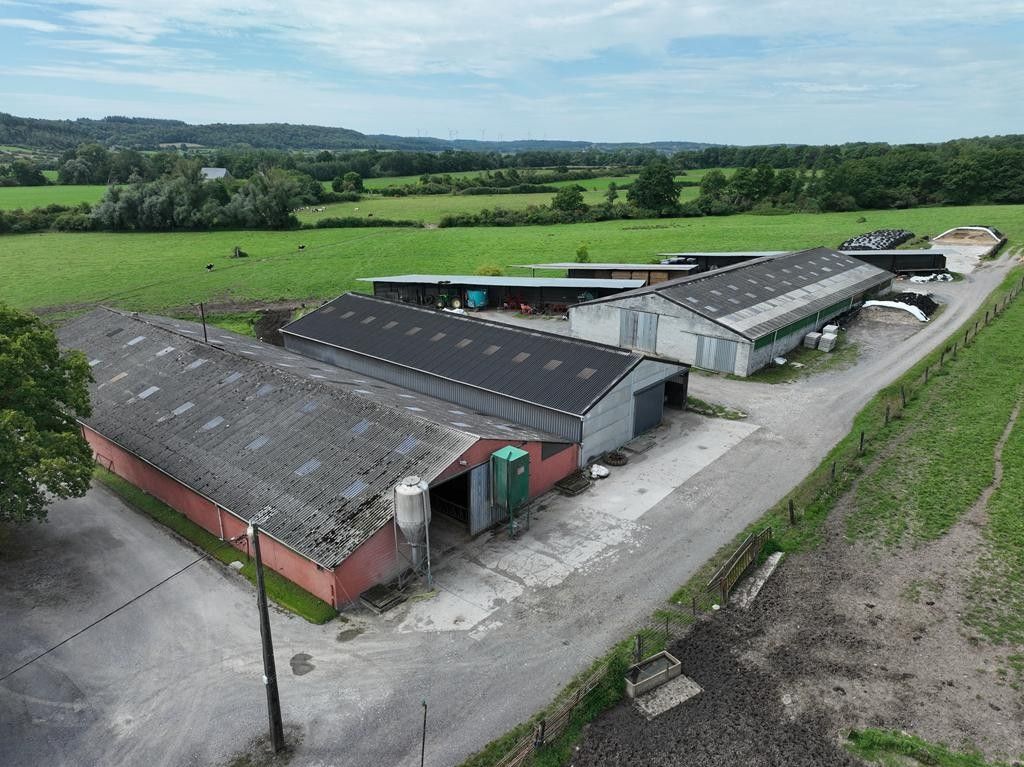 Landbouwbedrijf te Wallonië foto 3