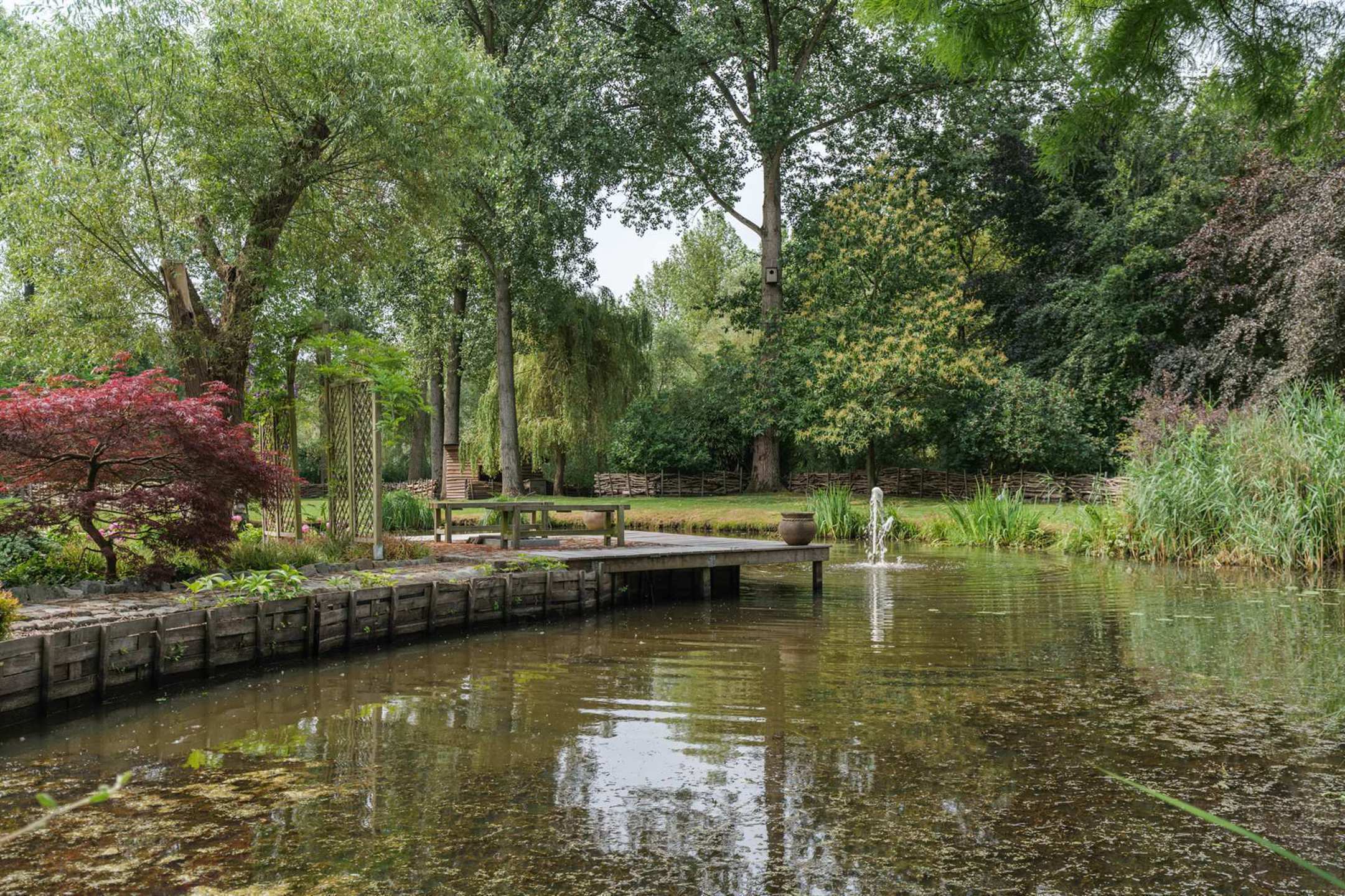 Uitzonderlijke hoeve met praktijk in oase van groen  foto 25