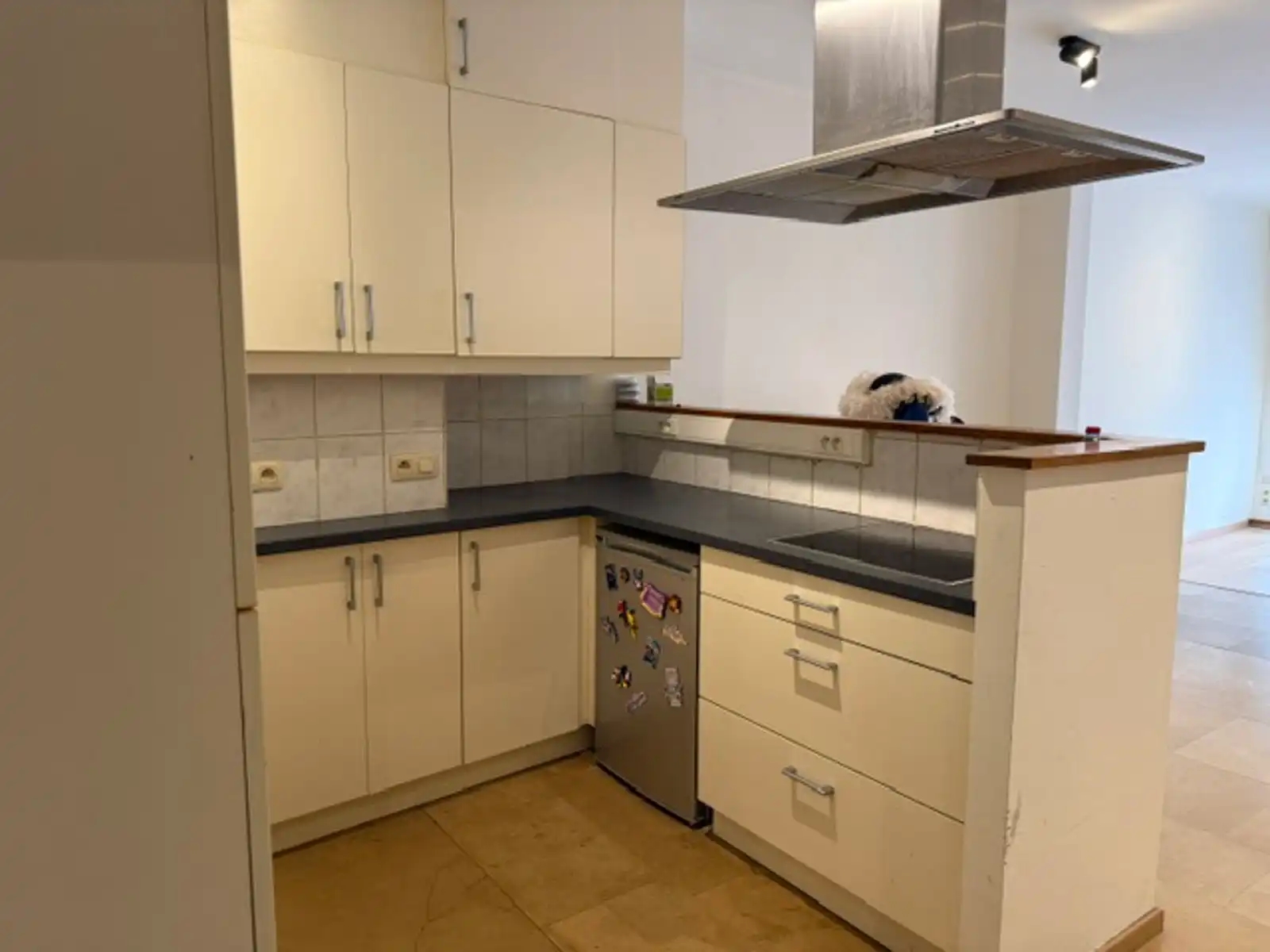 Te huur: appartement in centrum Aalst foto 6