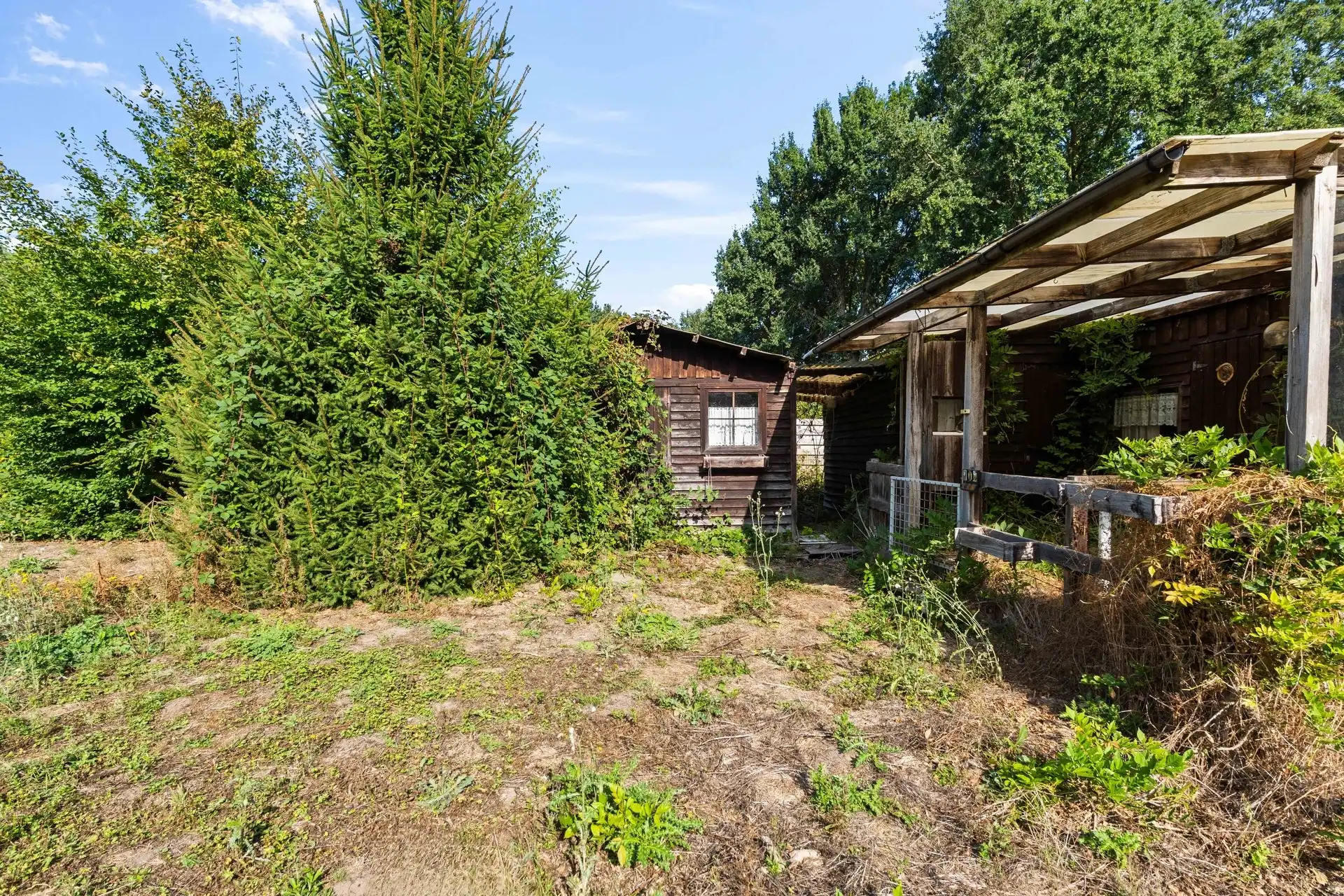 Recreatiegrond met chalet te Stekene foto 8