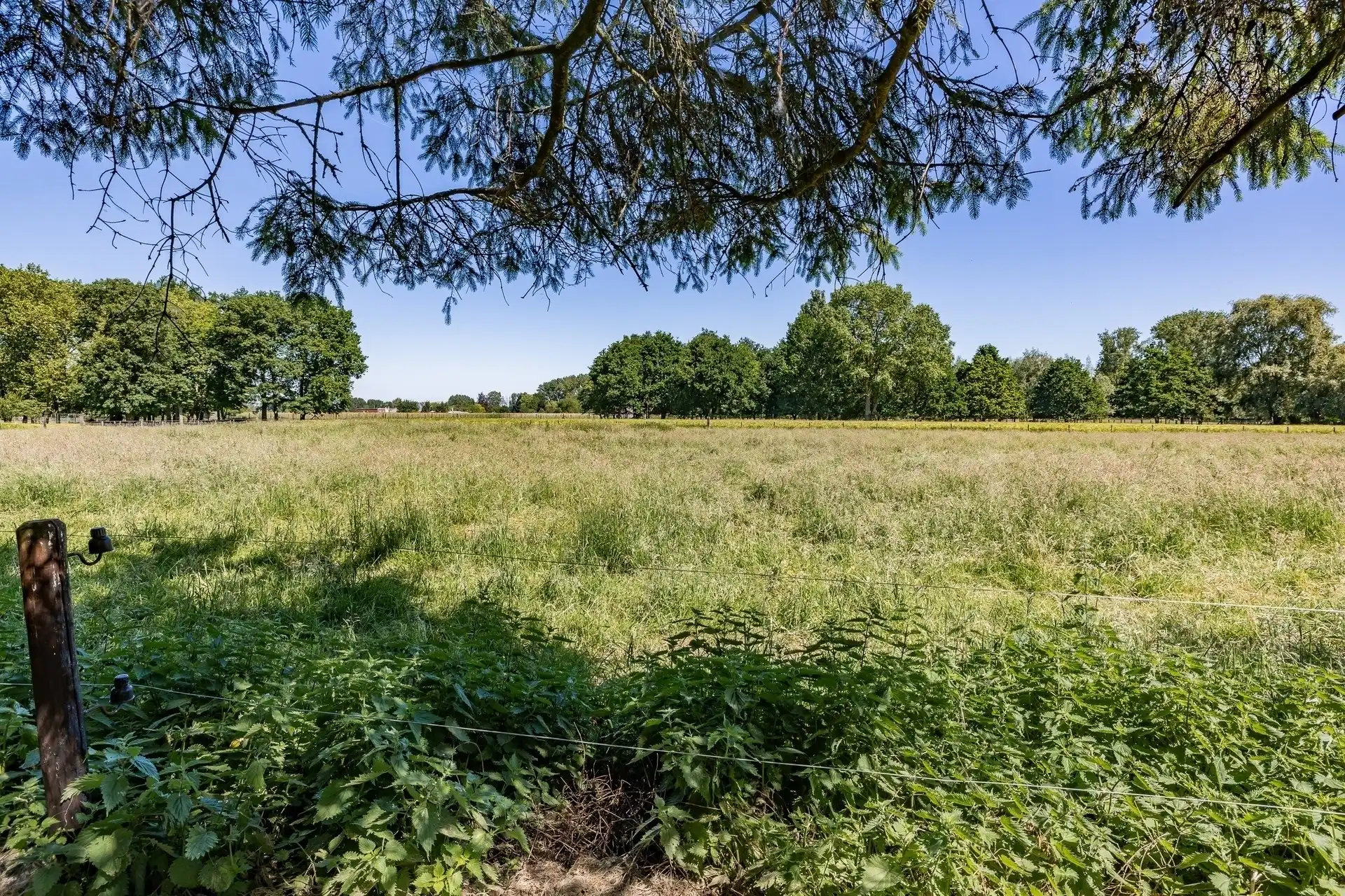 Interessante te renoveren bungalow in Massemen met groenzichten  foto 30