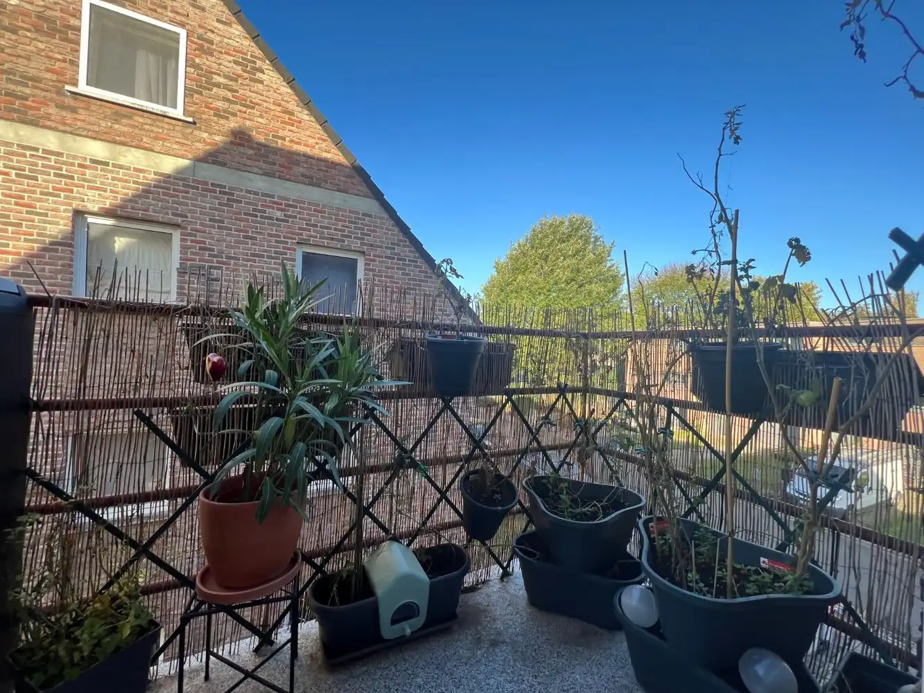 Appartement te huur foto 6