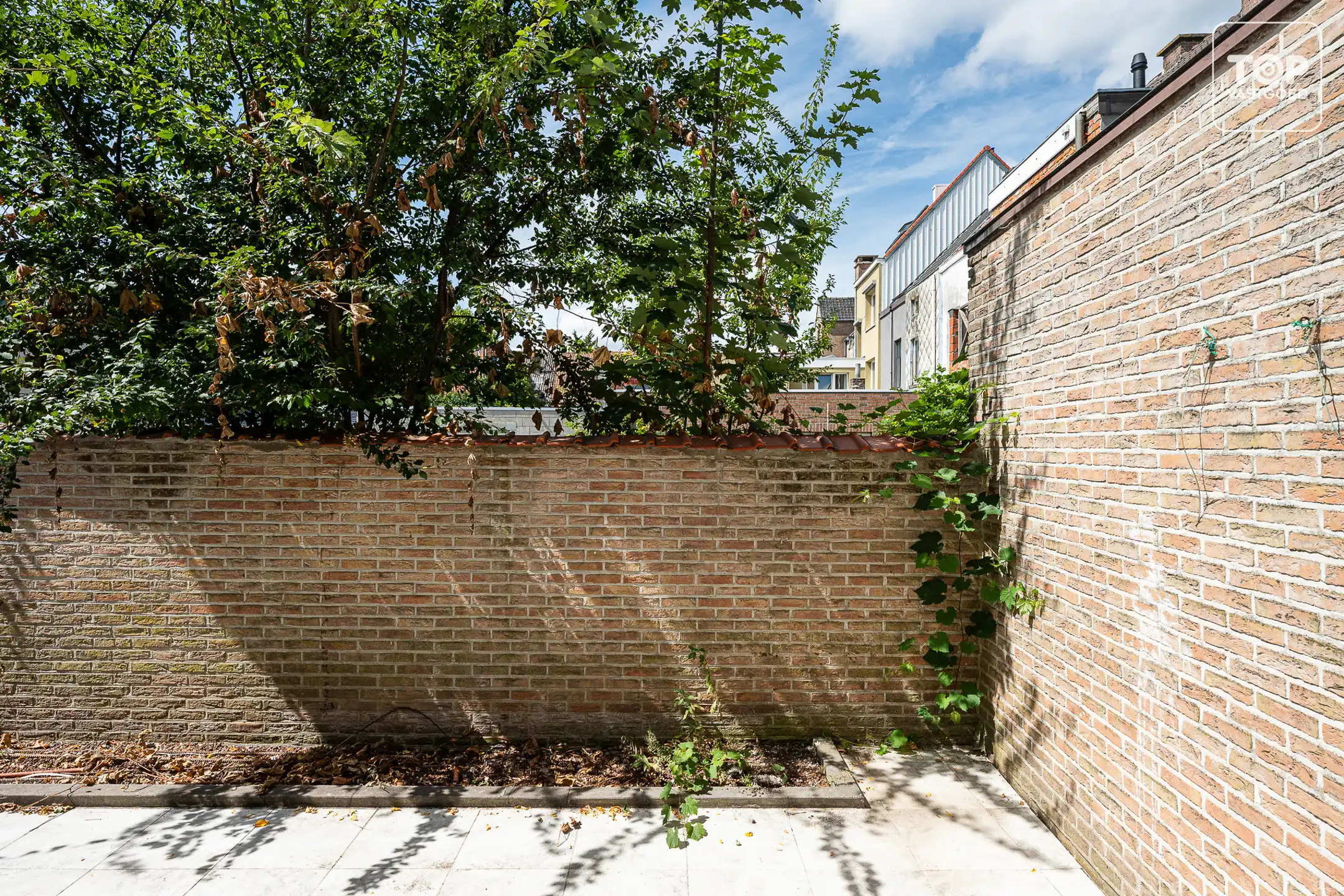 Huis te koop foto 28