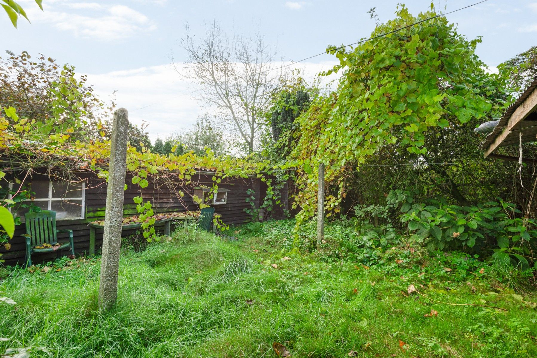 Te renoveren karaktervolle woning op 800 m² foto 4