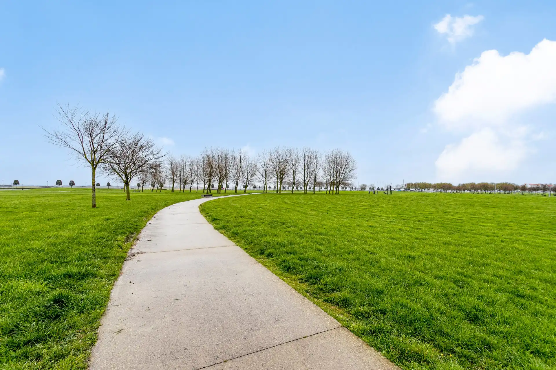 Studio met zongericht terras en open zicht op park en Havengeul. foto 7