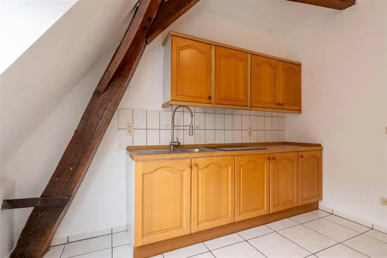 Opbrengsteigendom 2 appartementen foto 25