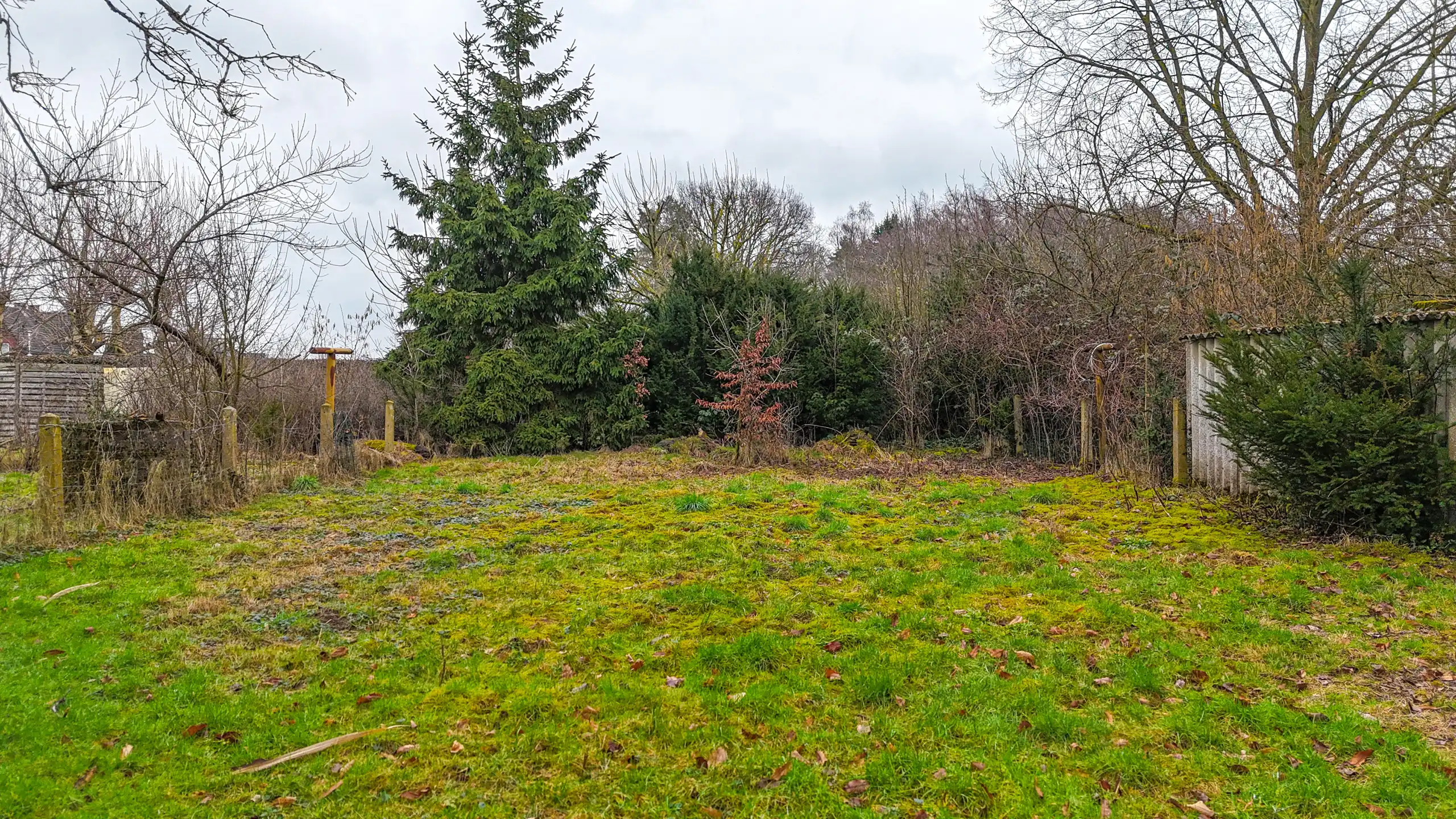 Open bebouwing met 3 slpks op ruim perceel nabij bos! foto 26