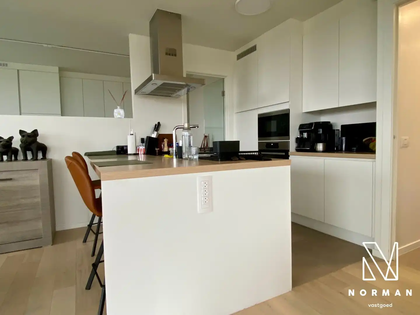 Prachtig appartement aan de Leie te huur!  foto 4