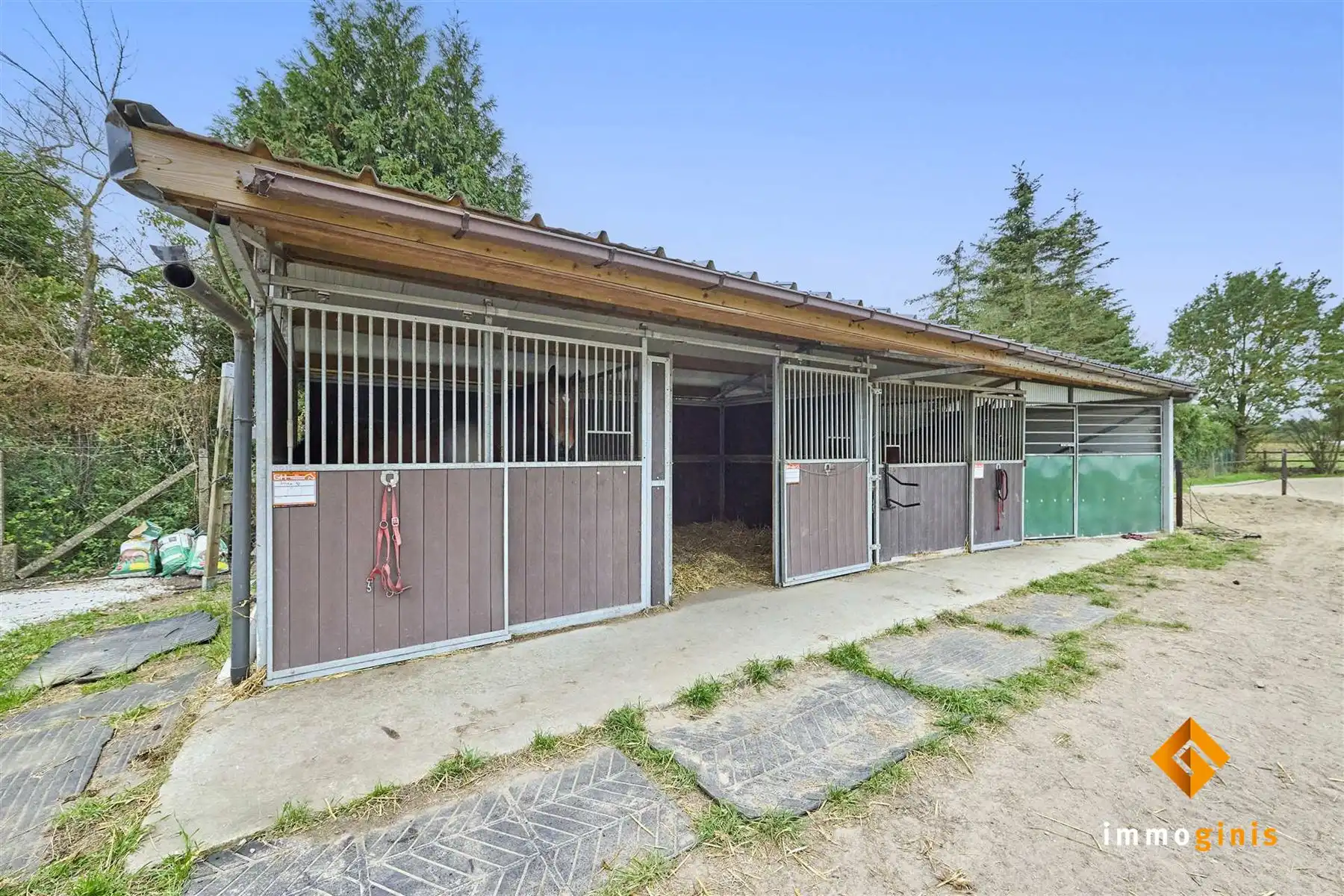 Ruime, gerenoveerde woning met 6 slaapkamers en loods (180m²) op een perceel van 71a44ca. foto 28