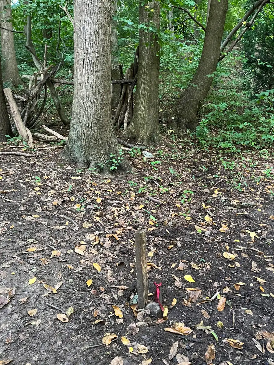 Grond te koop foto 3