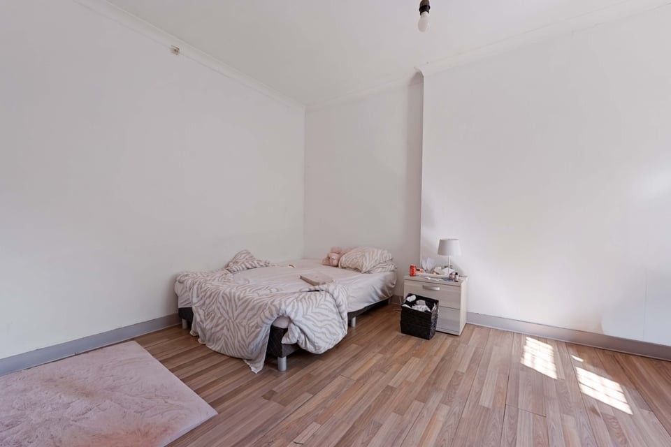 TE RENOVEREN WONING MET VEEL POTENTIEEL IN HARTJE ZOUTLEEUW foto 13