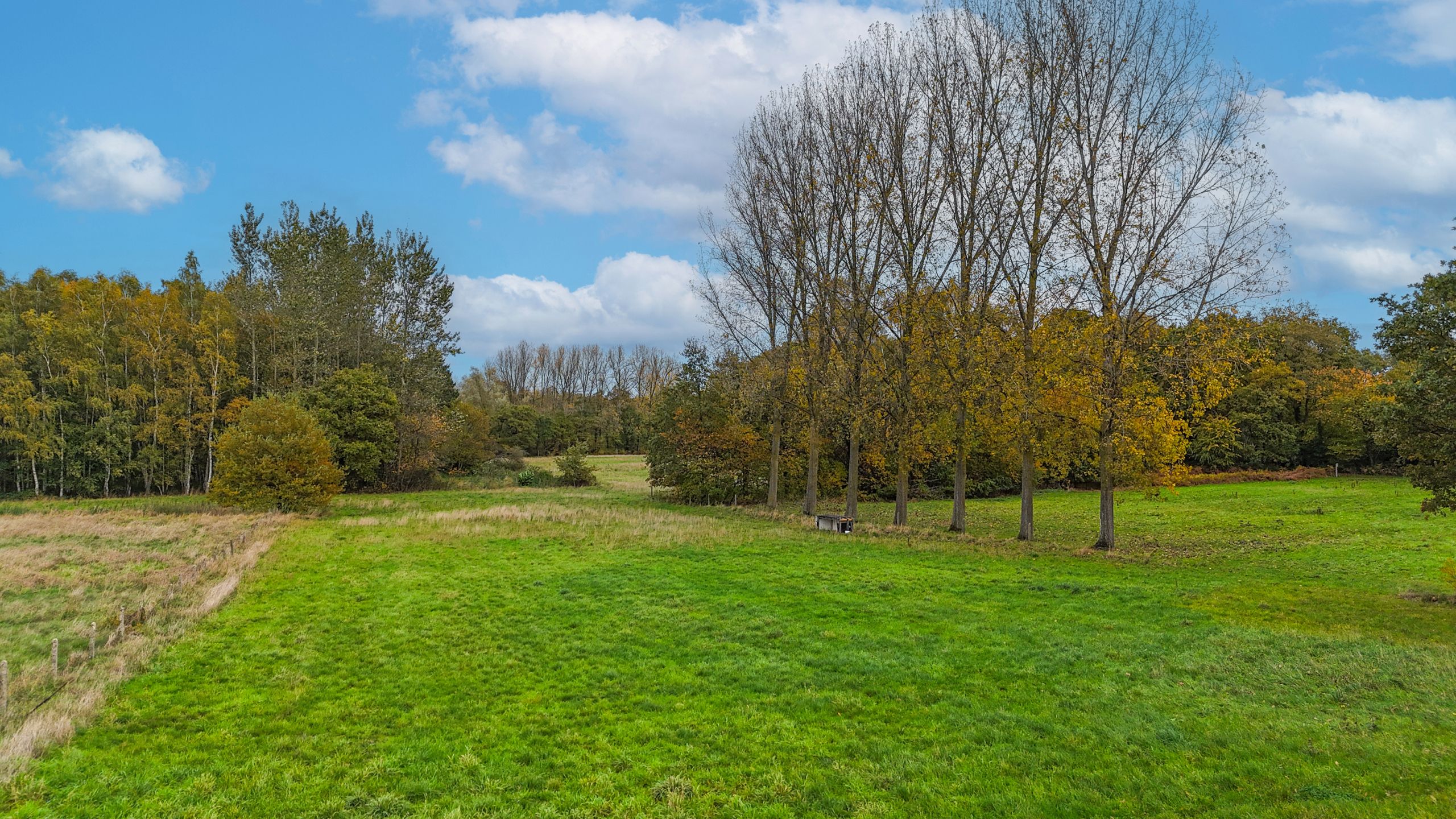 Prachtige woning met praktijkruime en paardenweide achteraan! foto 56