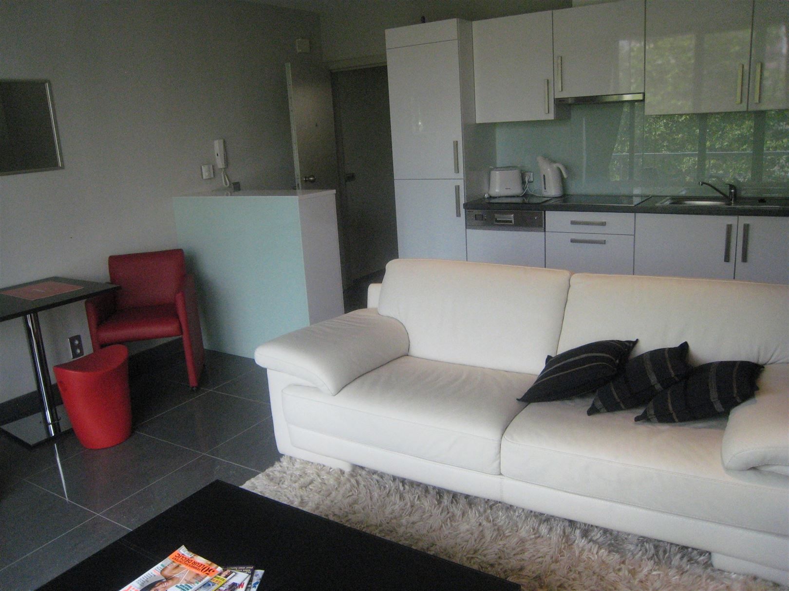 Gemeubeld appartement met 1 slaapkamer en terras foto 5