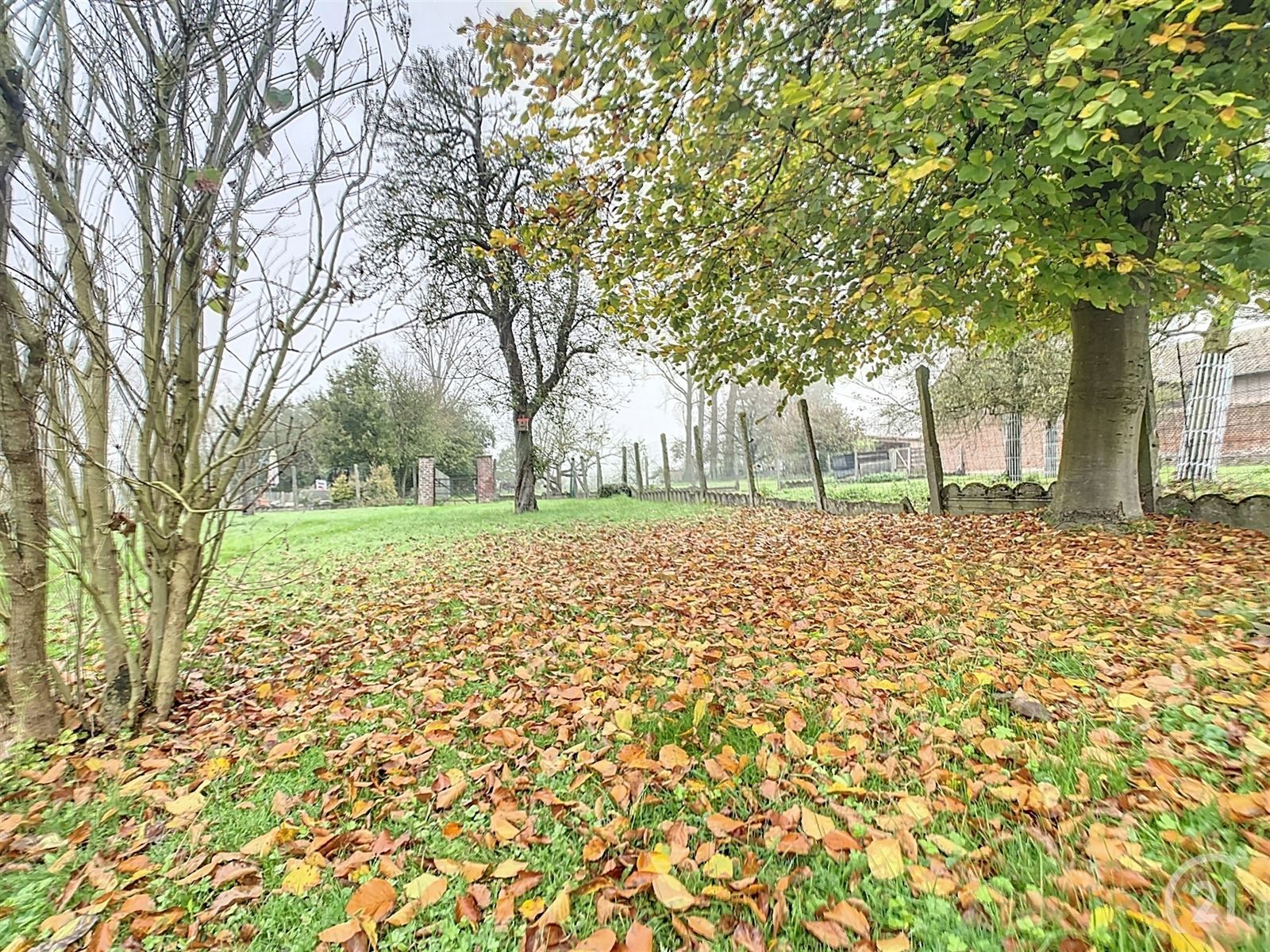 Te renoveren gezinswoning met tuin en weide op 35are40 foto 6