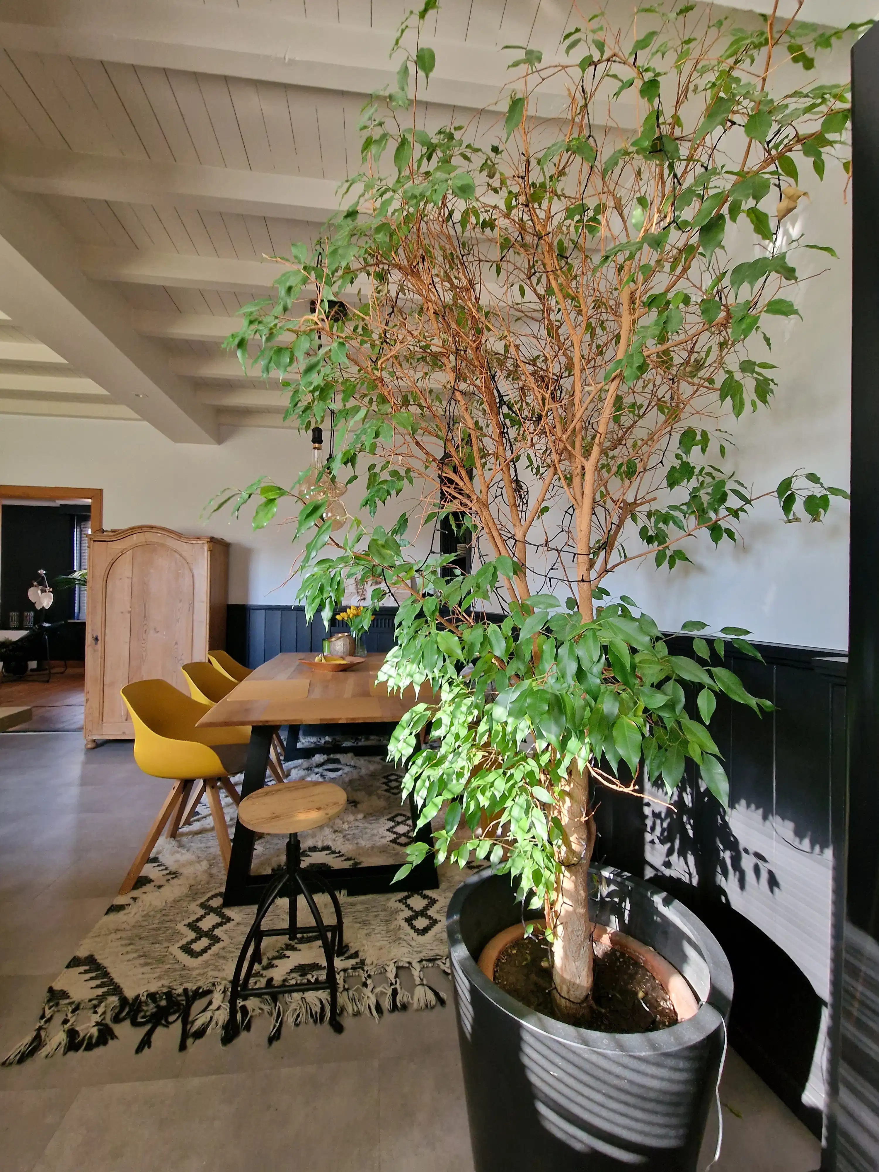 Handelspand met uitzonderlijke visibiliteit & ruim appartement – Toplocatie foto 15