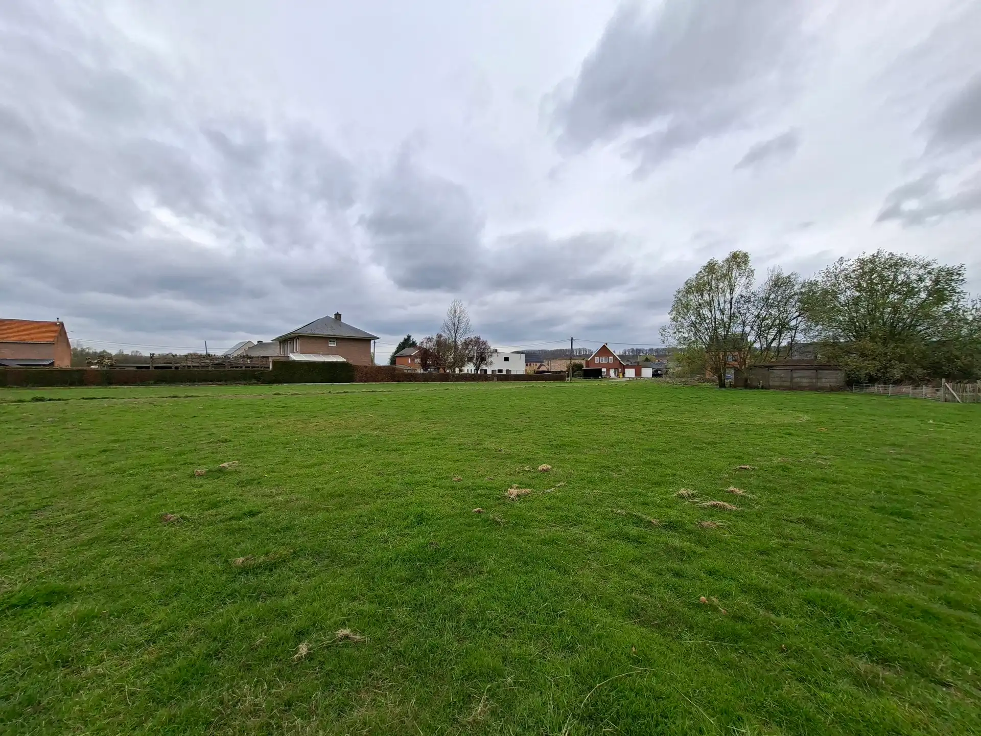 Bouwgrond van 26 are voor open bebouwing te Wezemaal foto 2