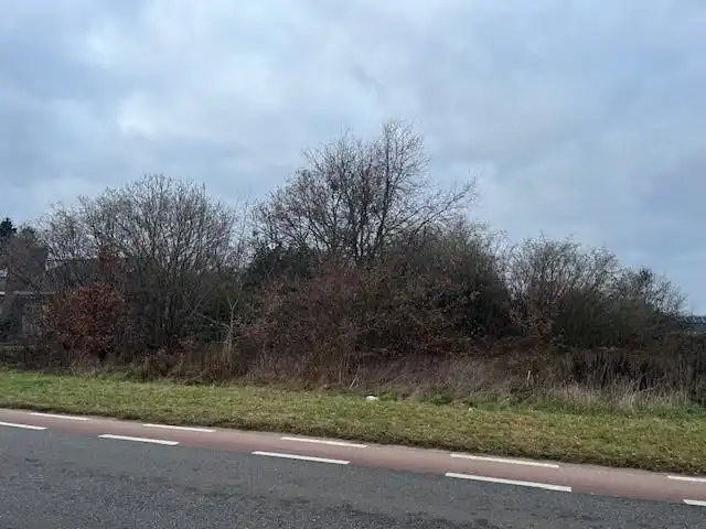 Ruime bouwgrond voor open bebouwing op toplocatie nabij Beringen foto 10