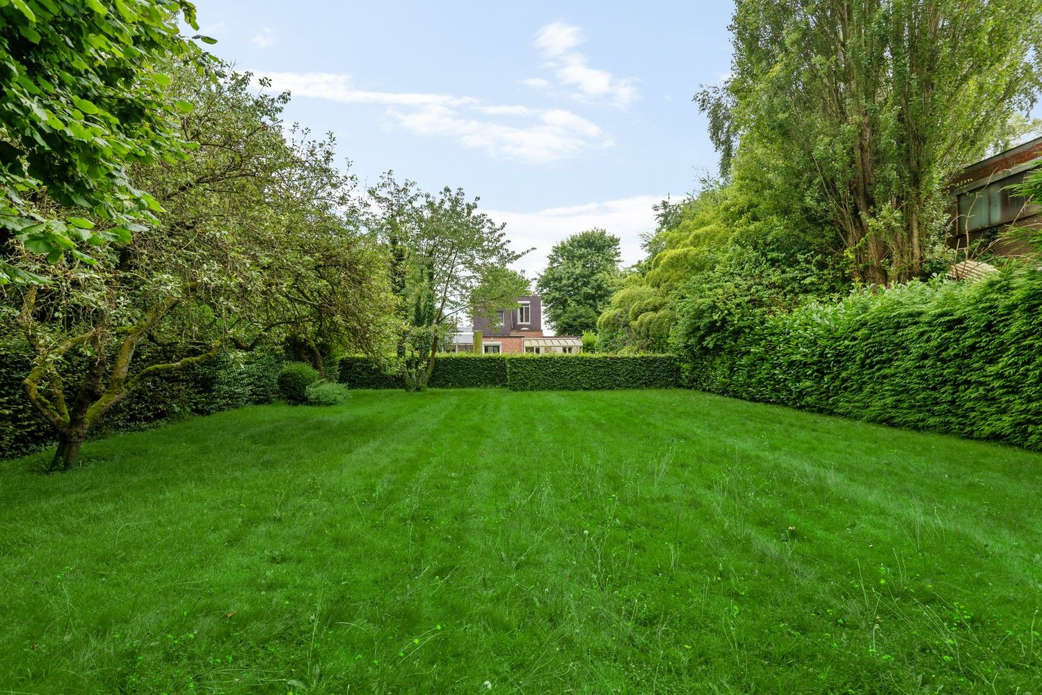 Bouwgrond voor ambachtelijke bedrijven & KMO's met op heden een zonevreemde woning te Wommelgem. foto 16