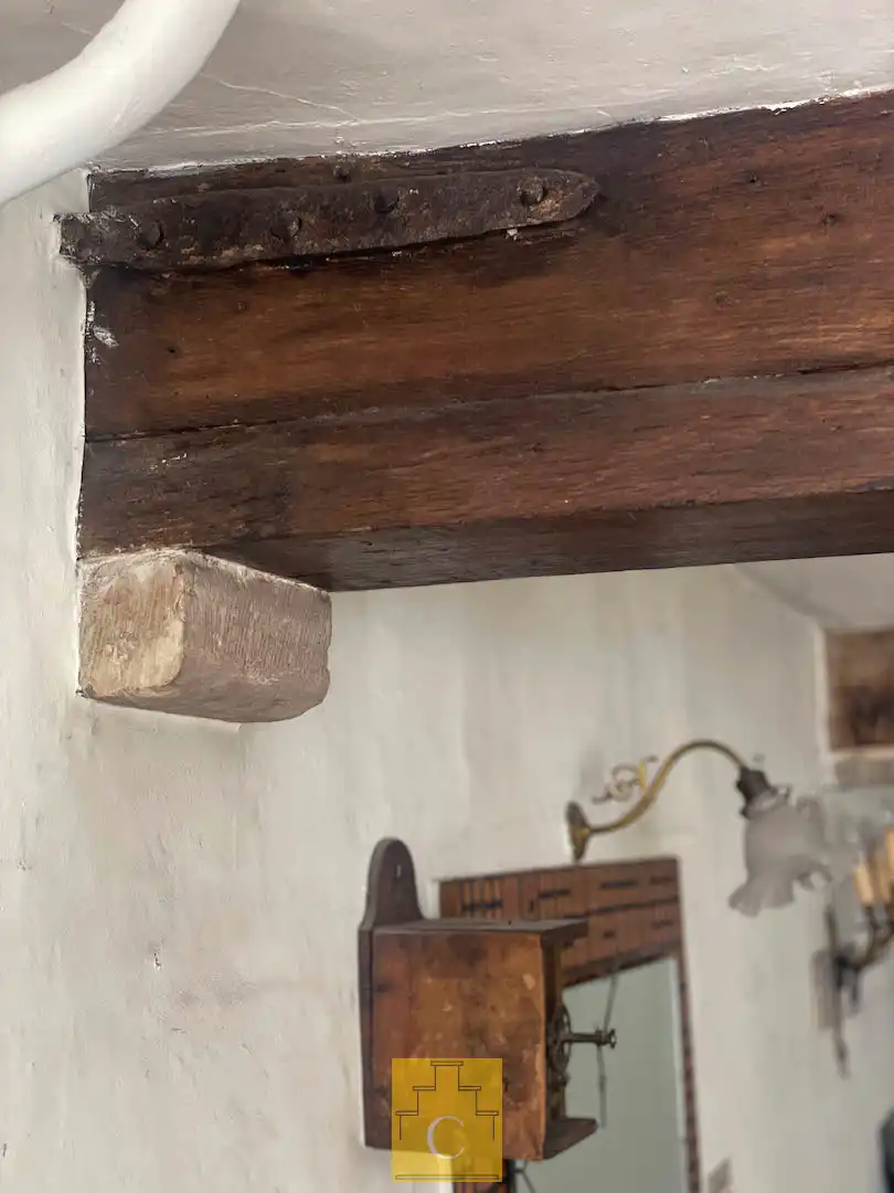 exclusieve herenwoning in de pittoreske St. Annawijk met grote zongerichte stadstuin en brede uitweg/fietsenpoort foto 25