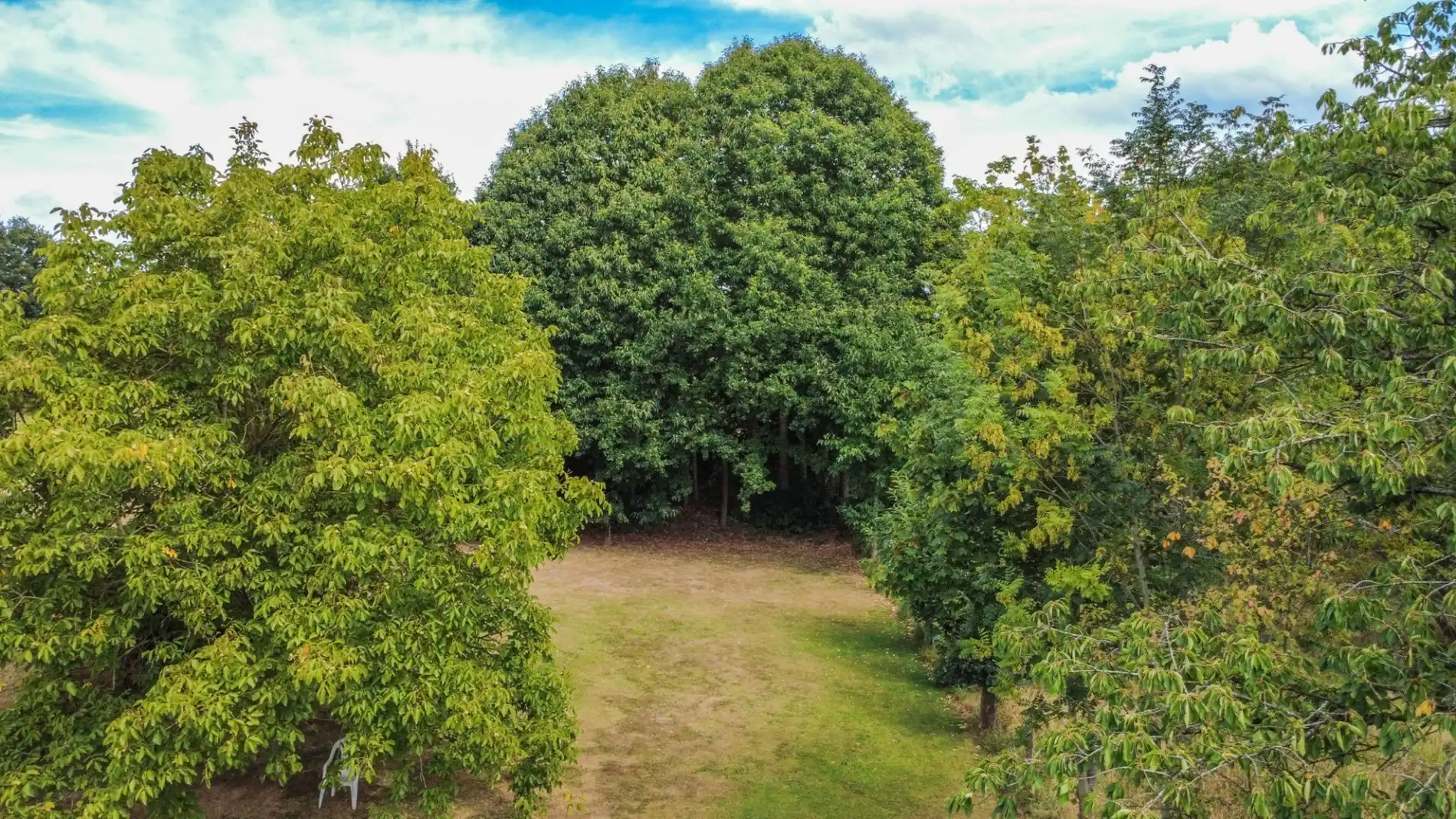 LICHTRIJKE, TE RENOVEREN 3-GEVEL WONING + GROTE TUIN! foto 6