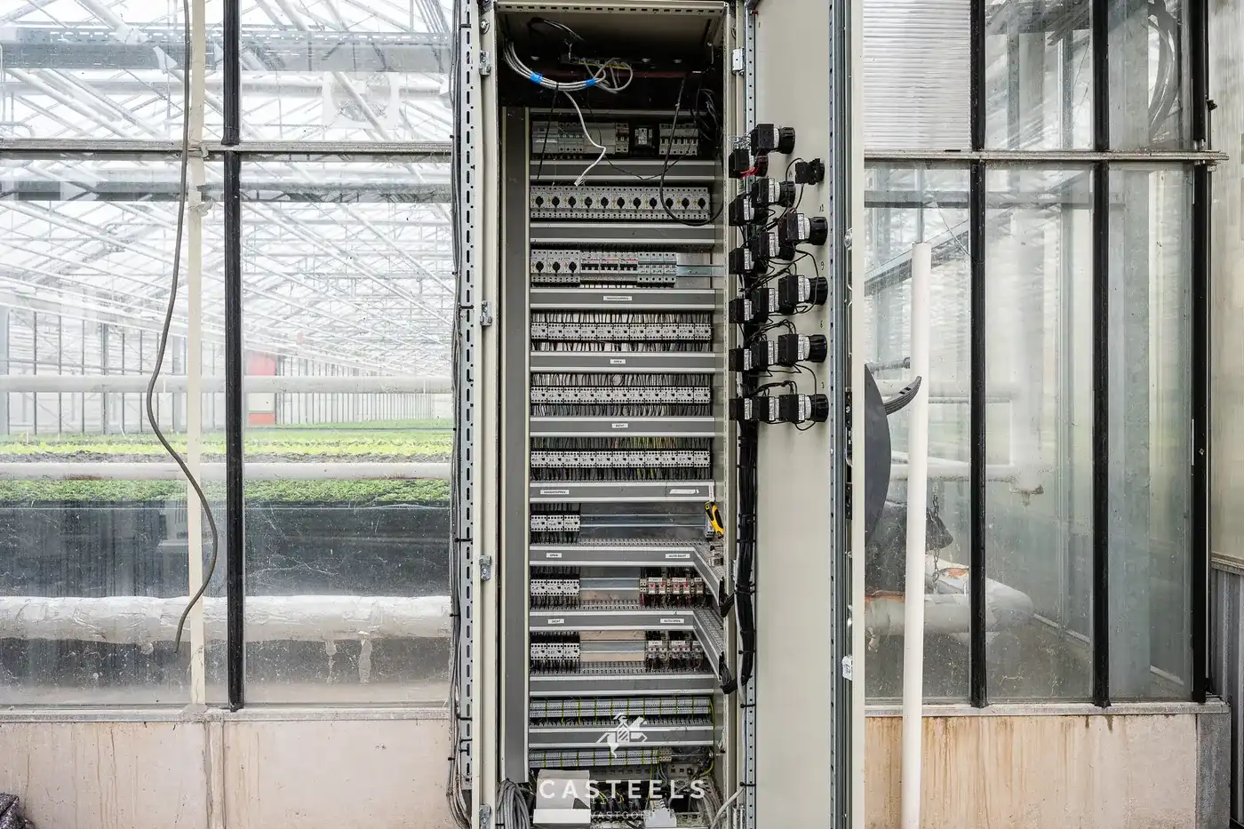 Professionele tuinbouwsite van 1,98 ha met 9.400 m² serres nabij E17 / R4 foto 7