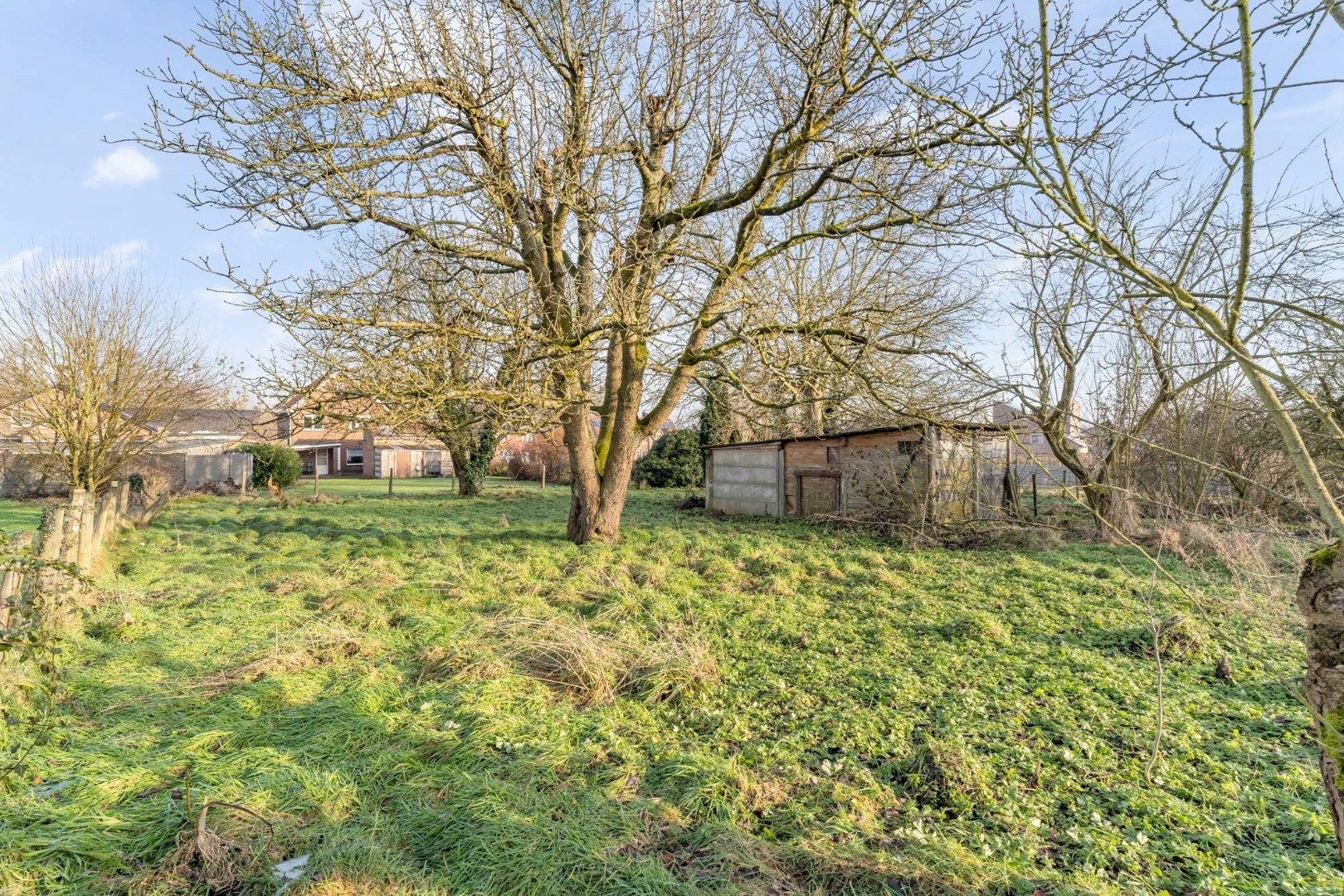 Te renoveren vrijstaande woning met zuidwest gerichte tuin en achterliggende weide op 16a 23ca foto 27