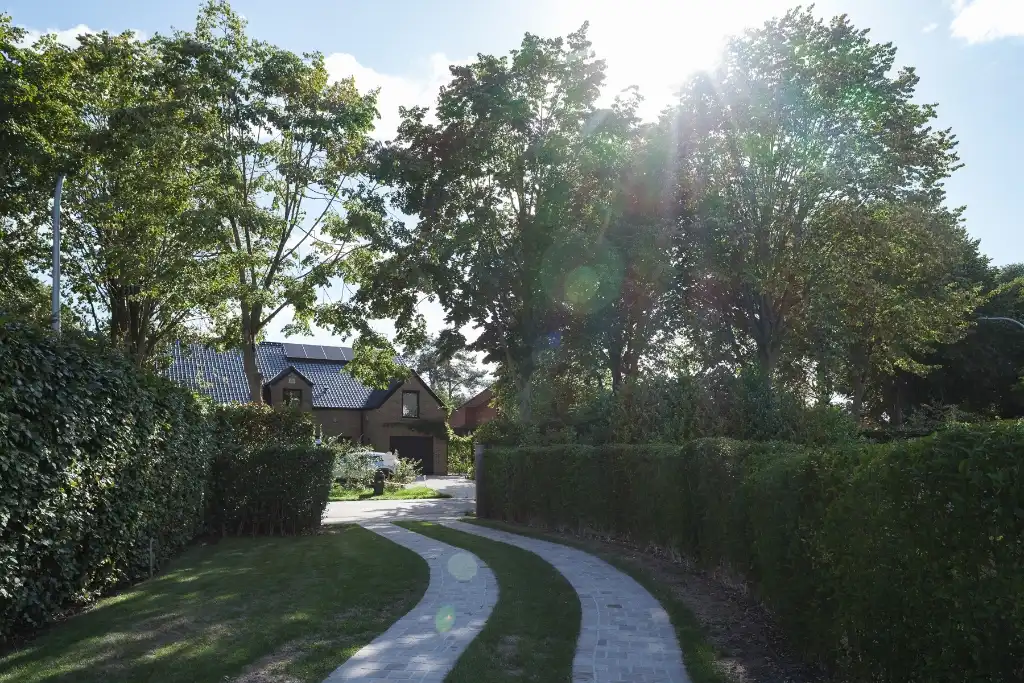 Knap gerenoveerde bungalow (EPC B) op een zuidgericht perceel in het gegeerde Baarle-Drongen foto 23