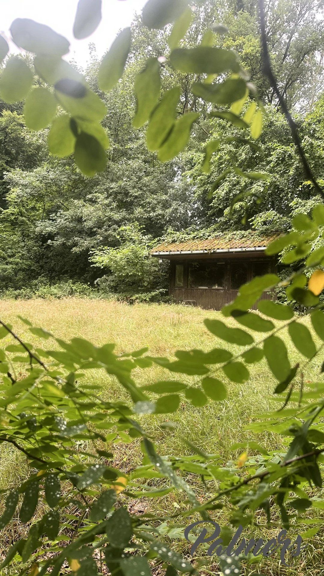 Comfort, ruimte èn ligging: instapklaar wonen in het groen. foto 6