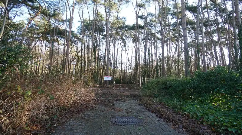 Residentieel gelegen bouwgrond van 31 are met 37 are bosgrond nabij golf- en meerdomein foto 6