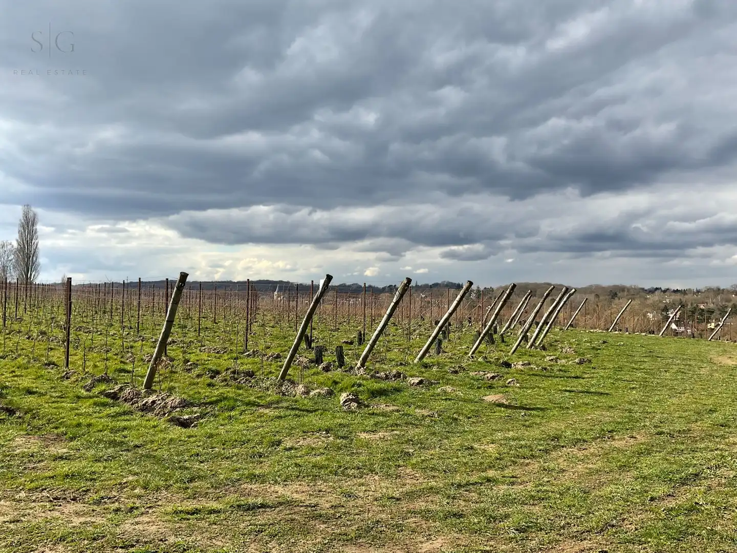 Exclusieve Villa  in Lasne – Panoramisch Vergezicht & Verwarmd Zwembad foto 16