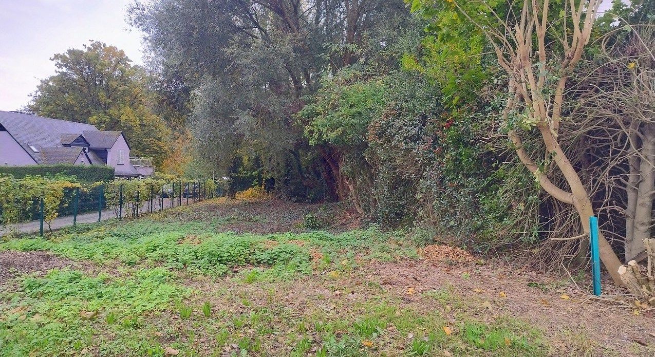 Perceel grond (6a 51ca) gelegen tussen huisnummers 249 en 253 foto 2