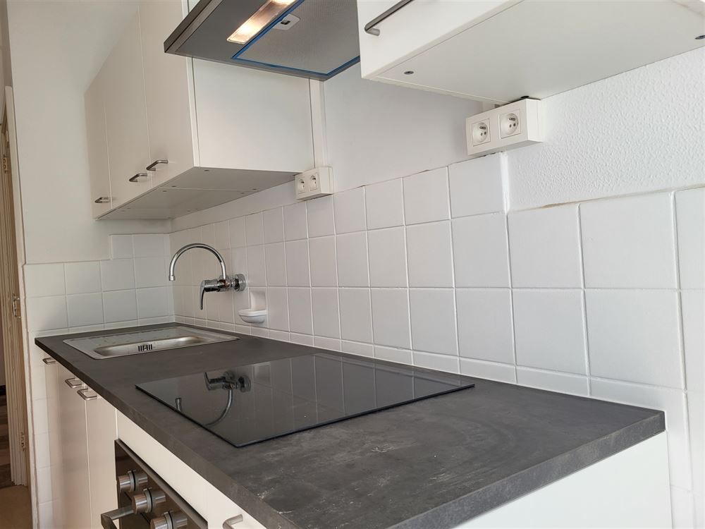 Ruim 1-slpkr appartement | Kijkdagen 19/08 +21/08 tssen 17u en 18u foto 10