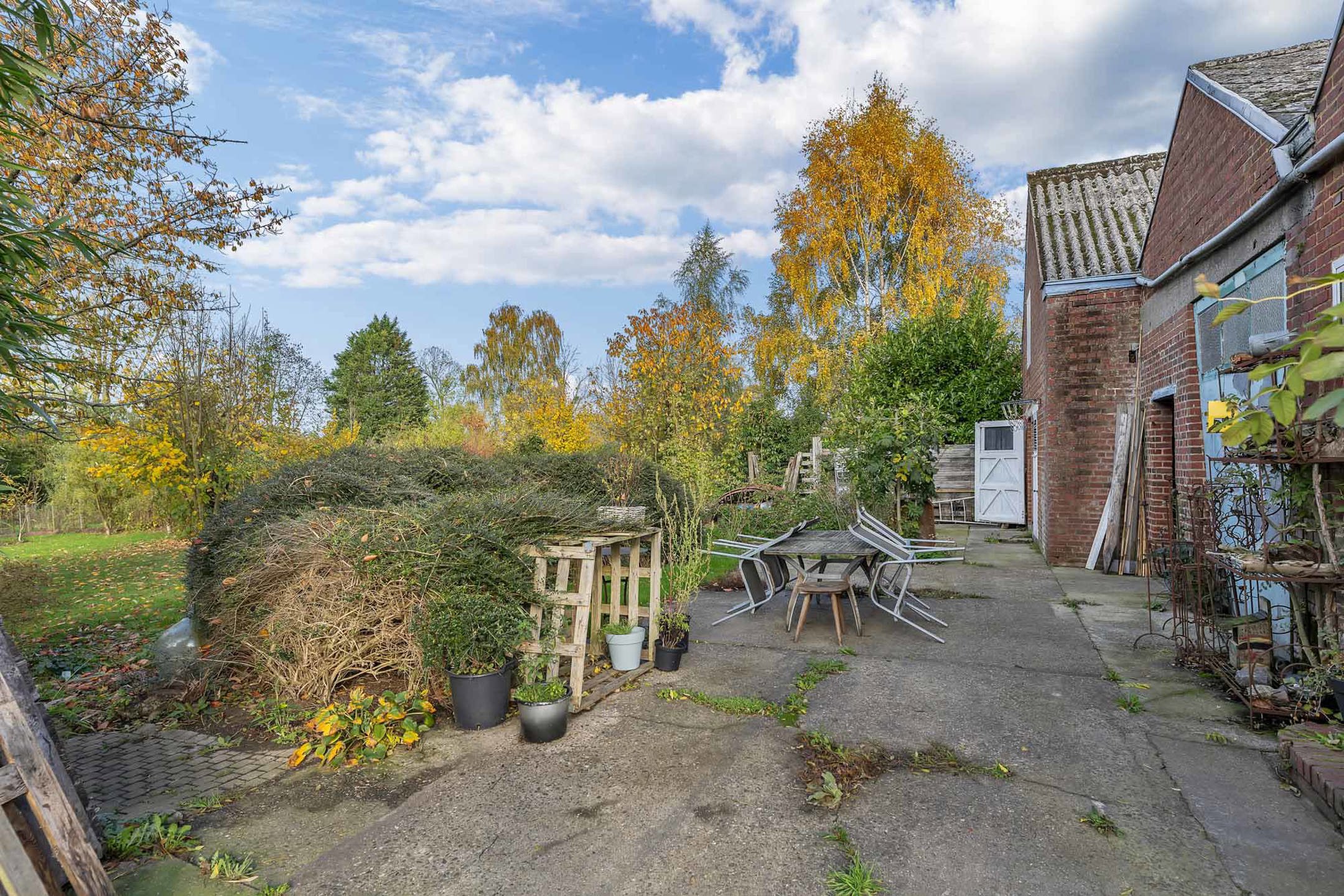 Woning met loods en 510 m² bewoonbare oppervlakte in Velzeke foto 38