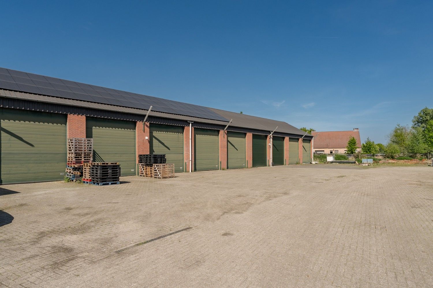 Uitgebreid Tuindersbedrijf met Woonhuis, Serres, Schermhallen en grote Bedrijfsloods op 2ha56a77! foto 3