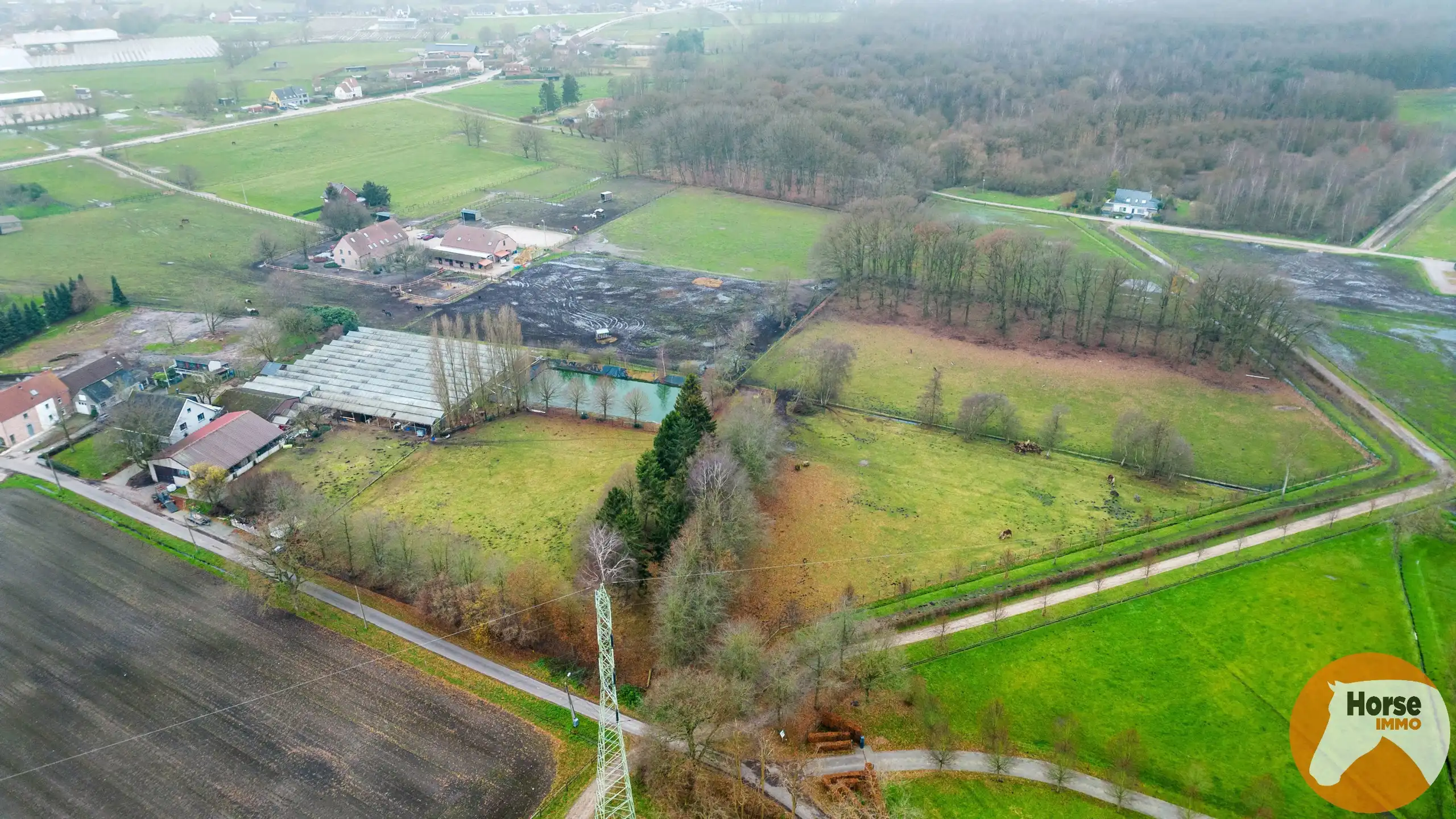 SINT-KATELIJNE-WAVER - Woning met serre en loods op 2,93 ha! foto 21