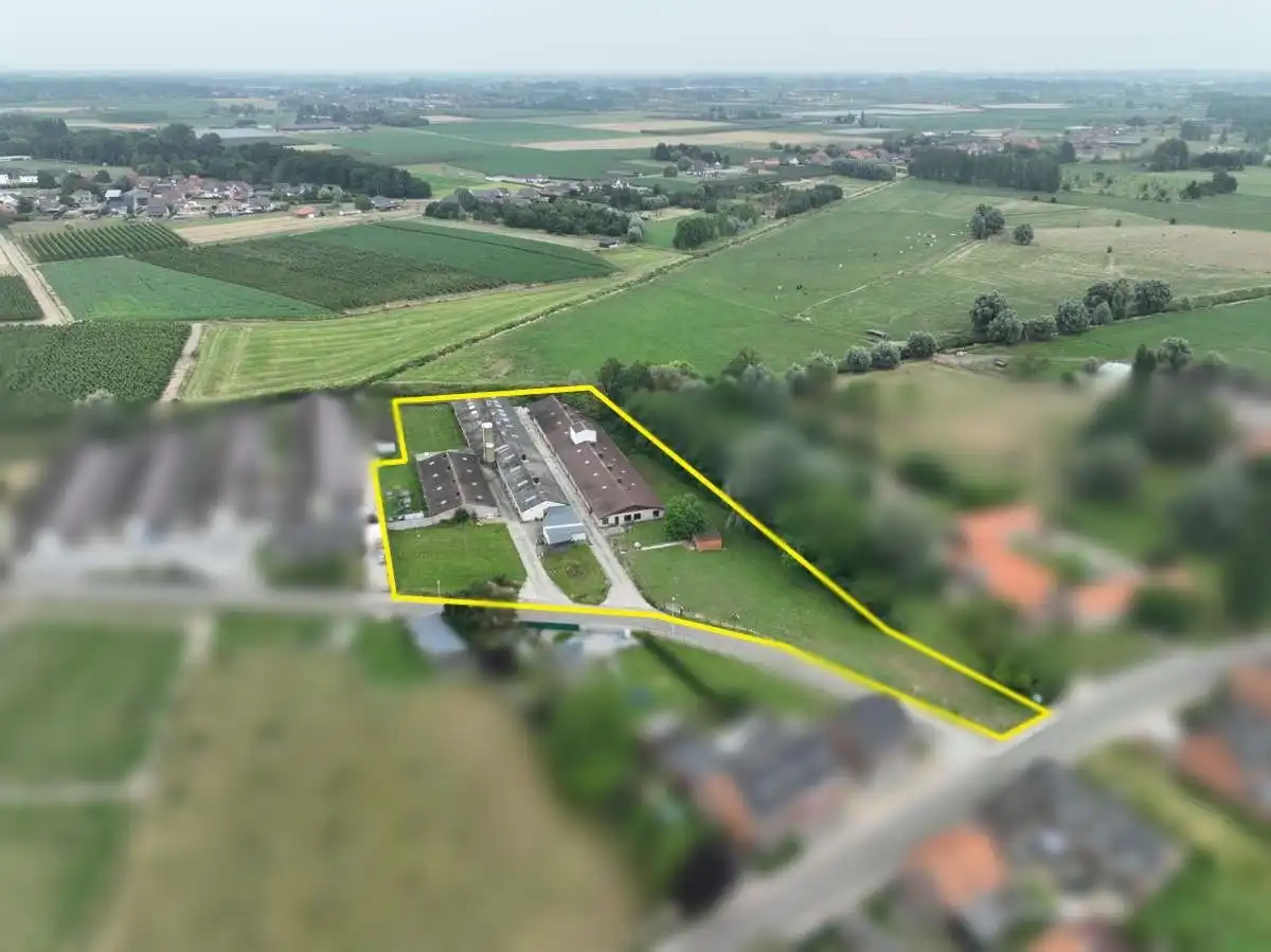 Hoofdfoto van de publicatie: Kalverstallen te Halen op 85 are