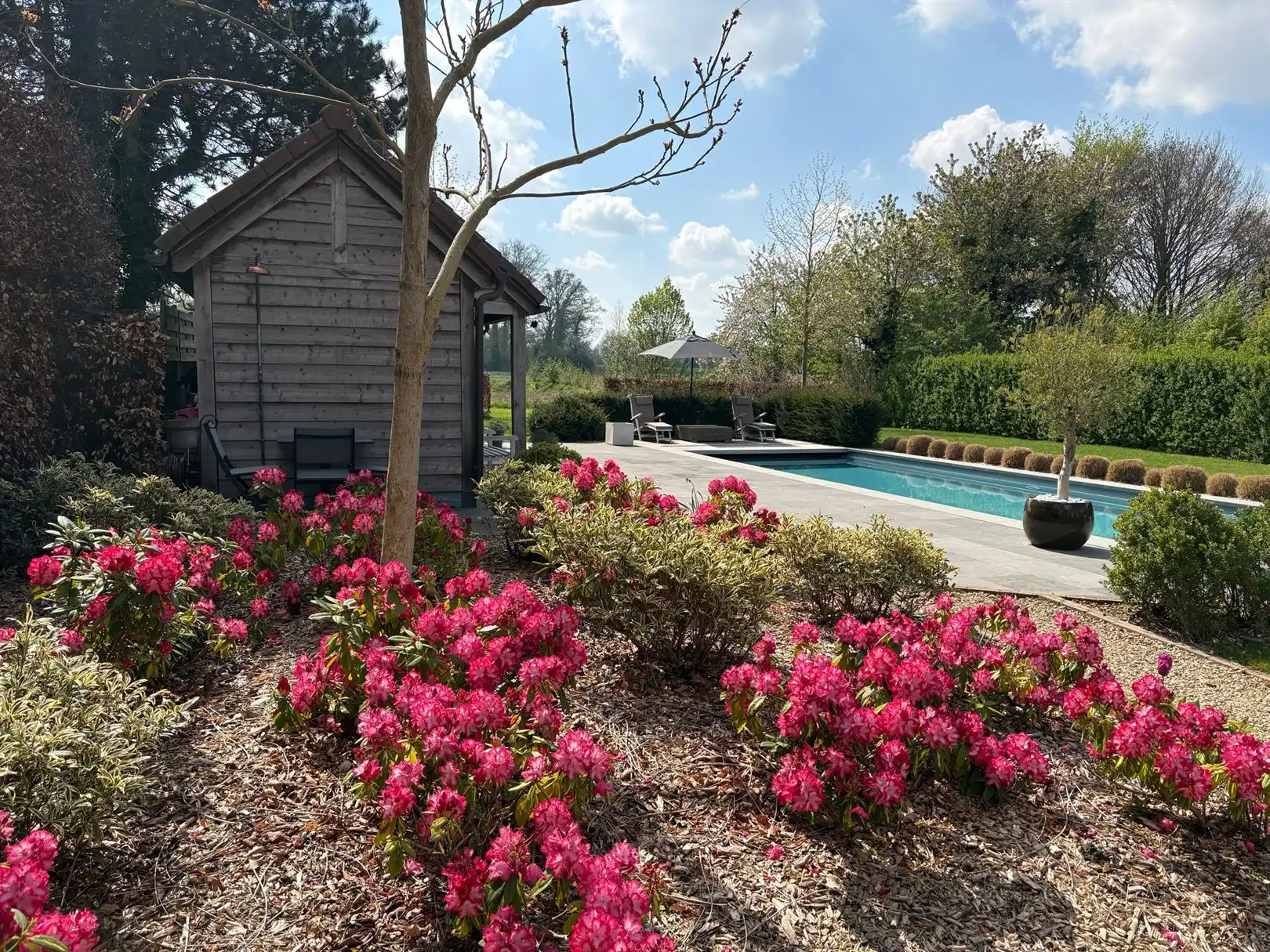 Karaktervolle woning met 4 slpks, 2 bdks, zwembad, 39a 17ca foto 7