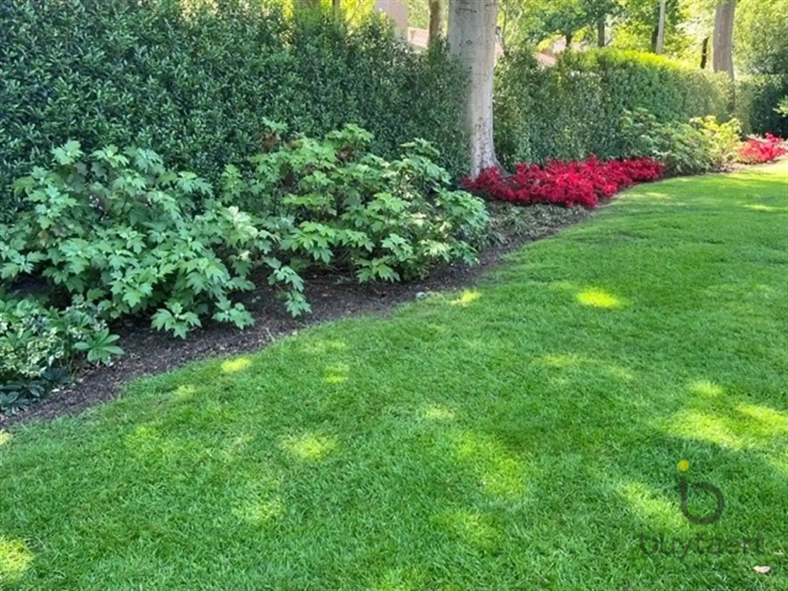 Villa met praktijk of  kangoeroewoning en Zuid - West tuin. foto 4