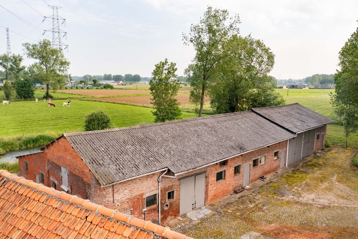 Centraal gelegen hoeve te koop te Kruibeke (Bazel) op circa 1 ha foto 7