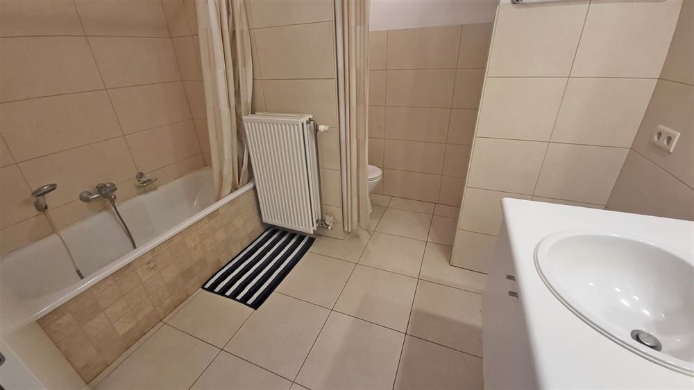 1-slpk appartement vlakbij stadspark foto 21