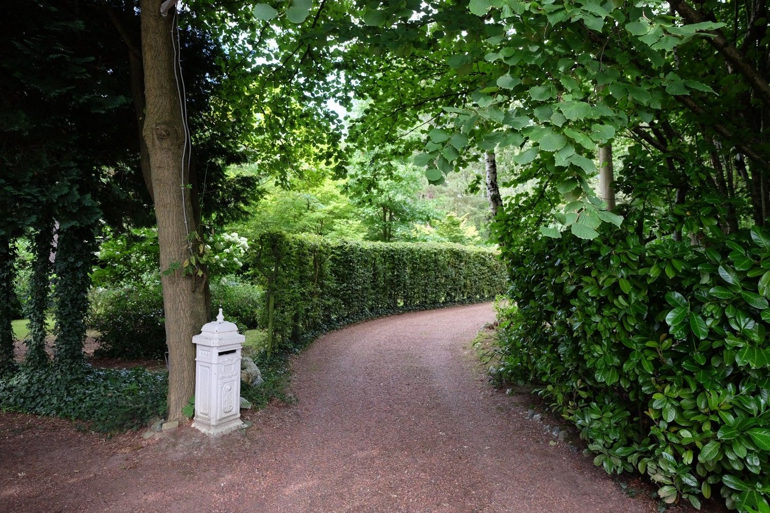 Uniek perceel met een charmante vakantiewoning midden in de natuur omgeven door een uitzonderlijke collectie van prachtige bomen. foto 3