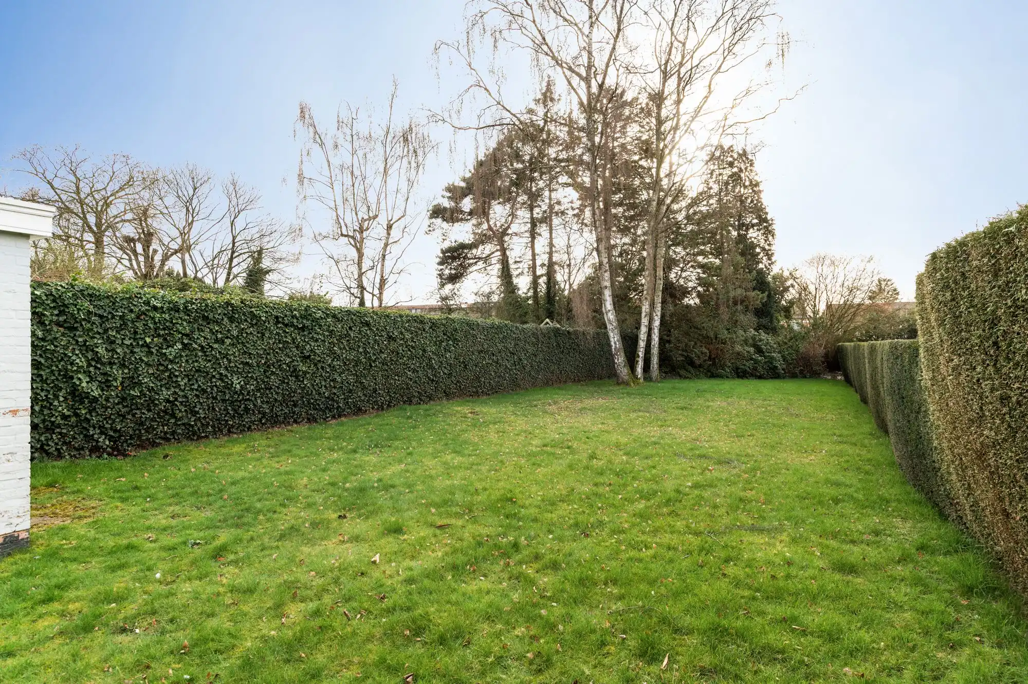 Zon, ruimte en potentieel op een toplocatie in Brasschaat. foto 24